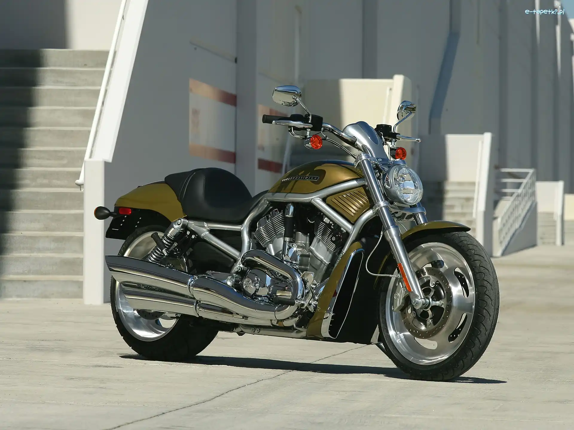 Harley Davidson V-Rod, Oliwkowy