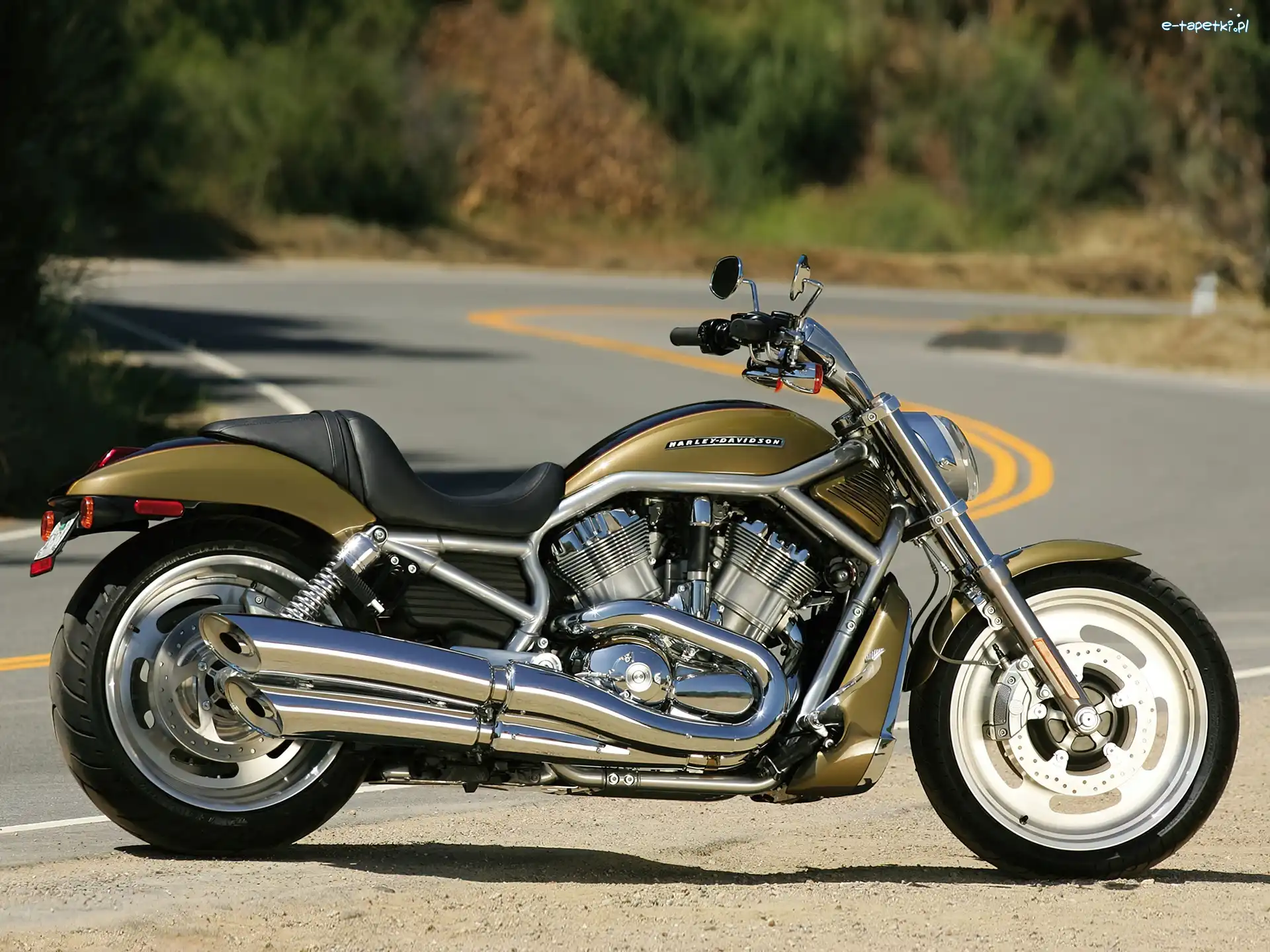Malowanie, Unikalne, Harley Davidson V-Rod