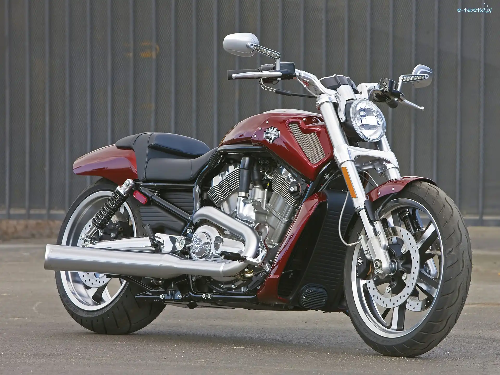 Przód, Amortyzatory, Harley Davidson V-Rod Muscle