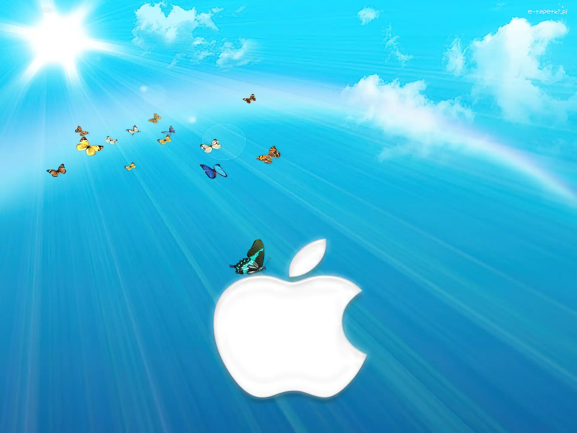 Motyle, Chmury, Apple