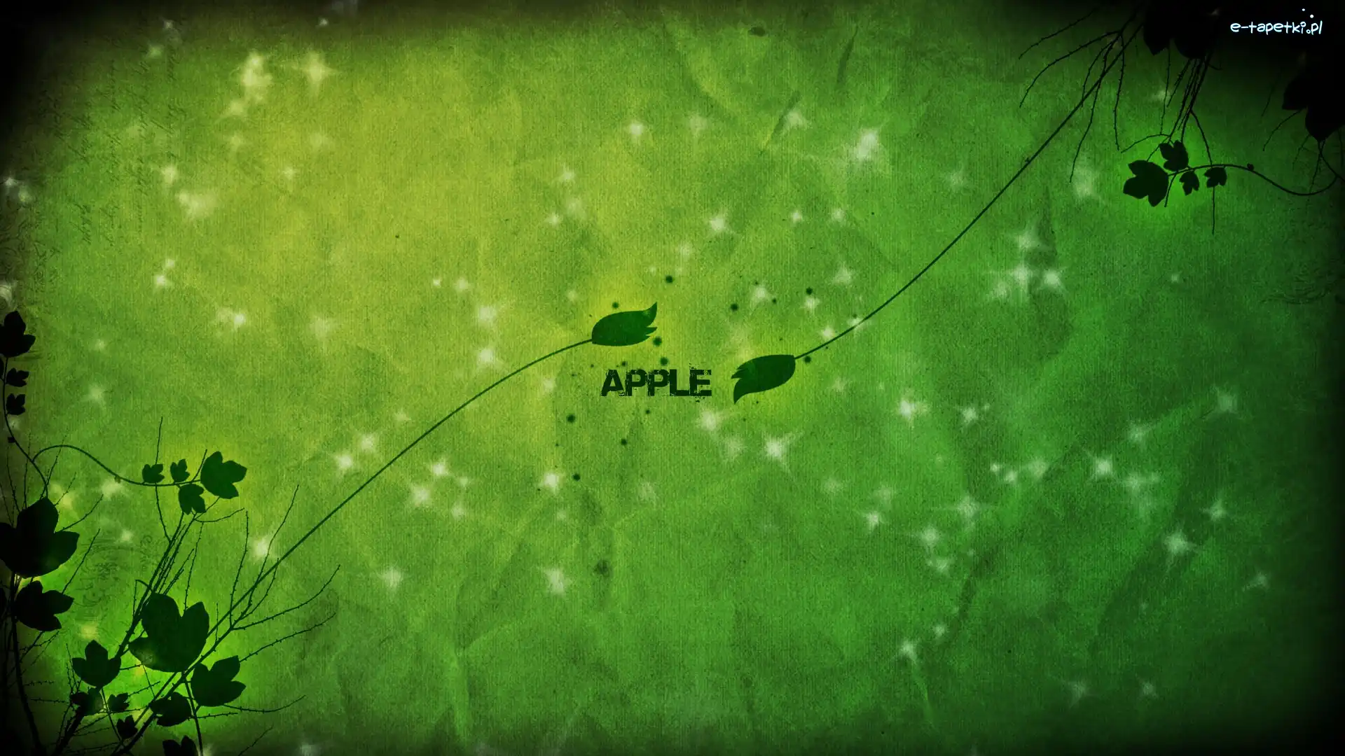 Rośliny, Apple, Producent