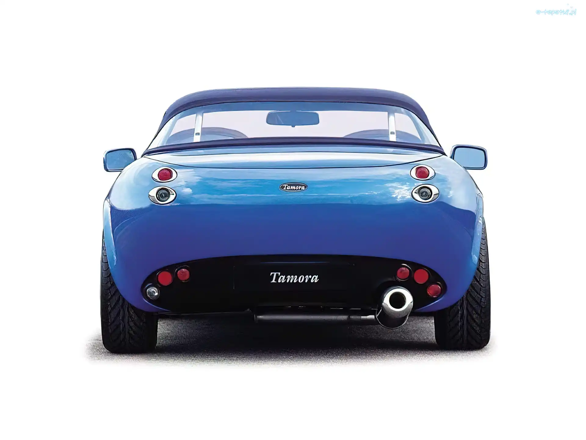 Tamora, TVR