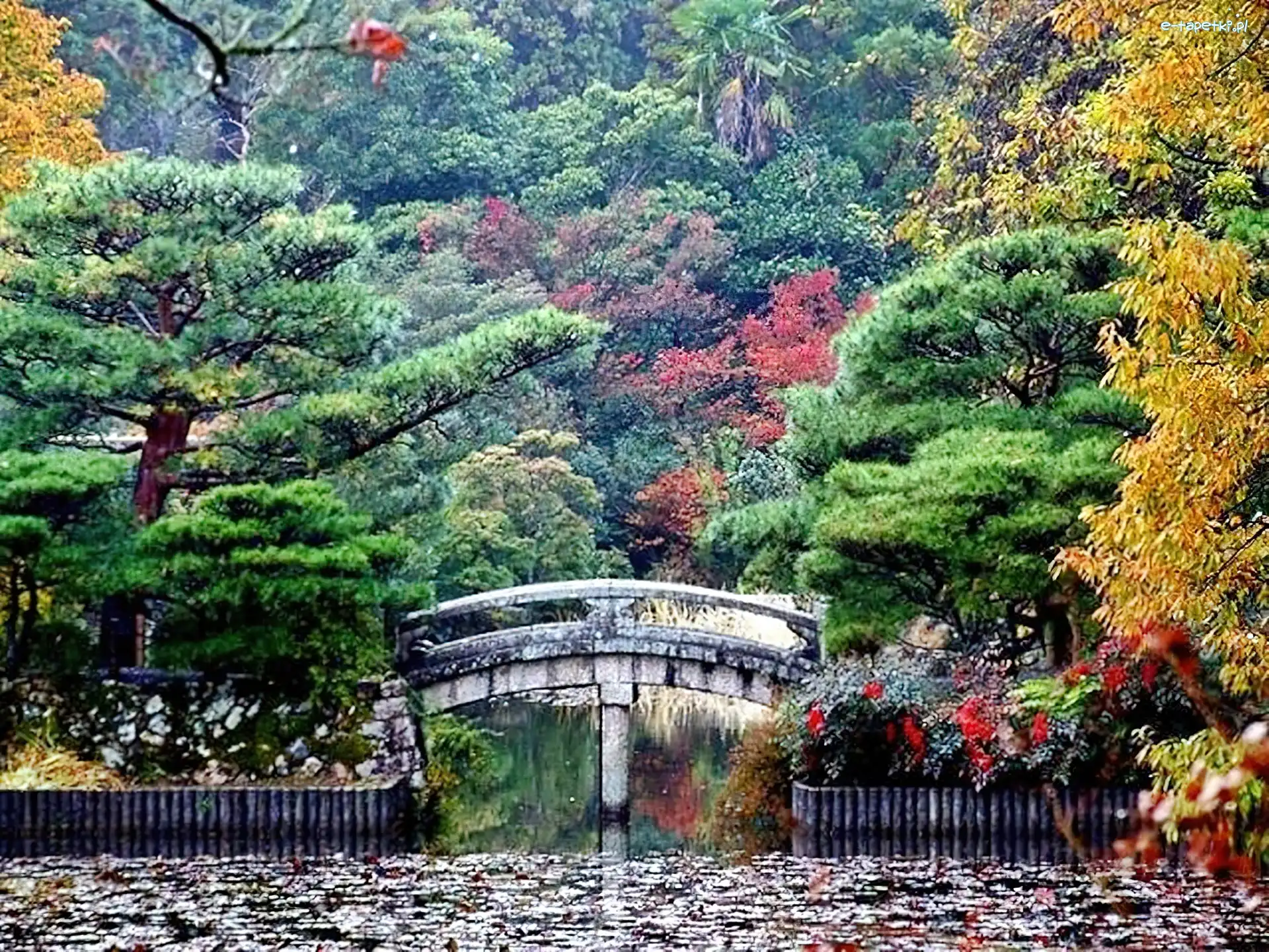 Most, Kioto, Japonia
