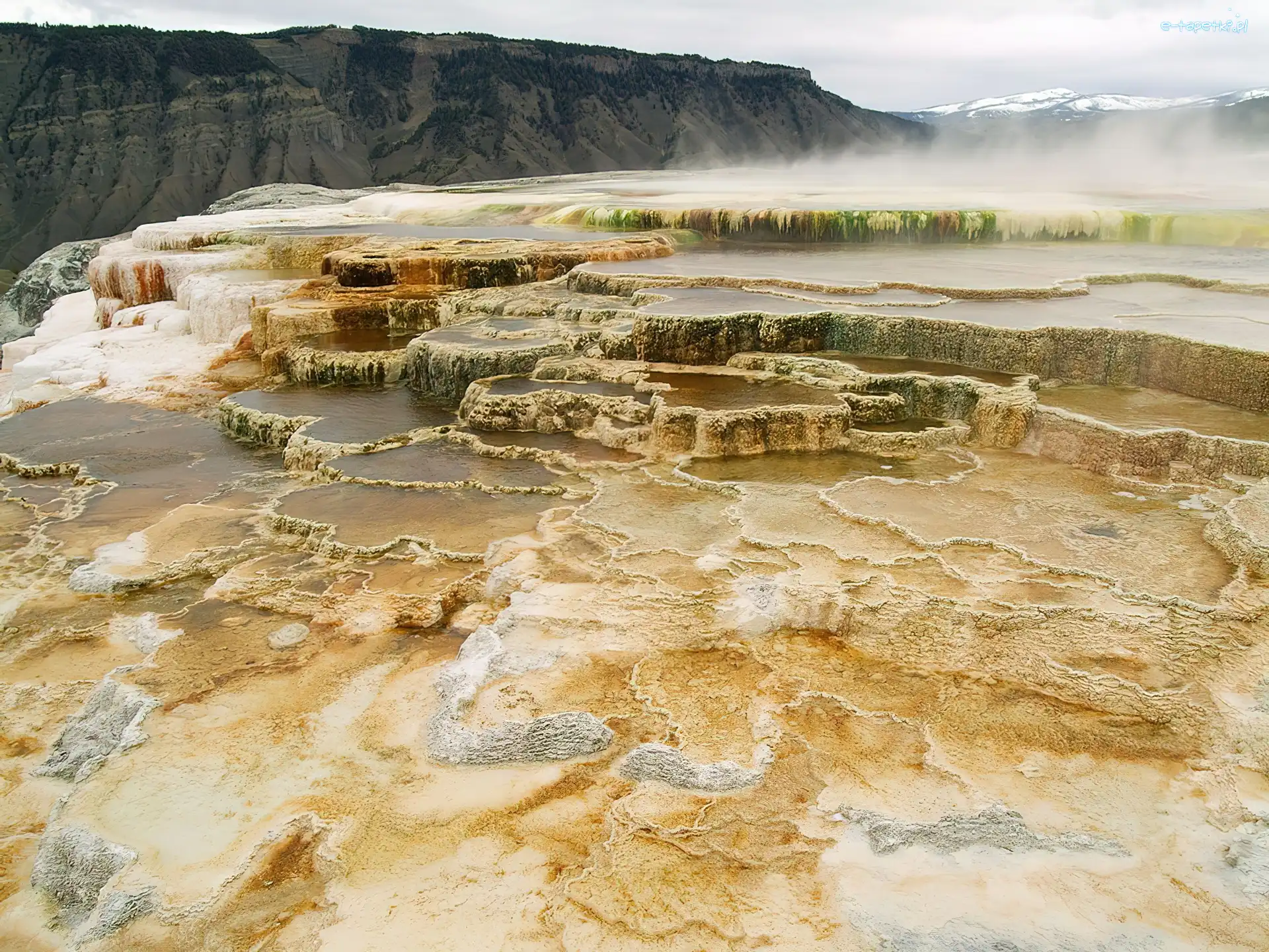 Stan Wyoming, Gorące źródła Mammoth Hot Springs, Park Narodowy Yellowstone, Stany Zjednoczone