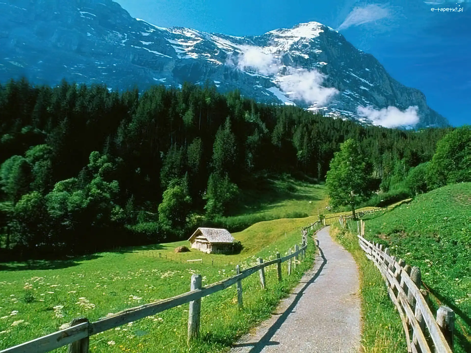 Ścieżka, Polana, Góry