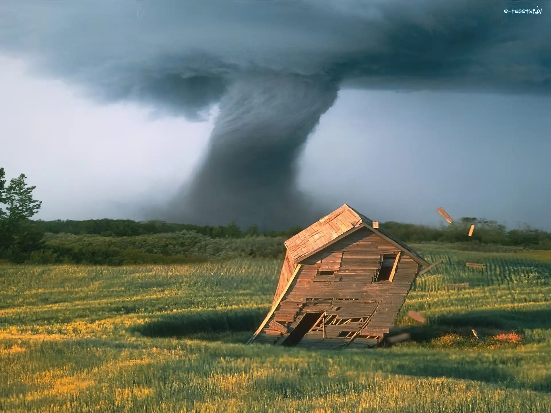 Domek, Pole, Tornado