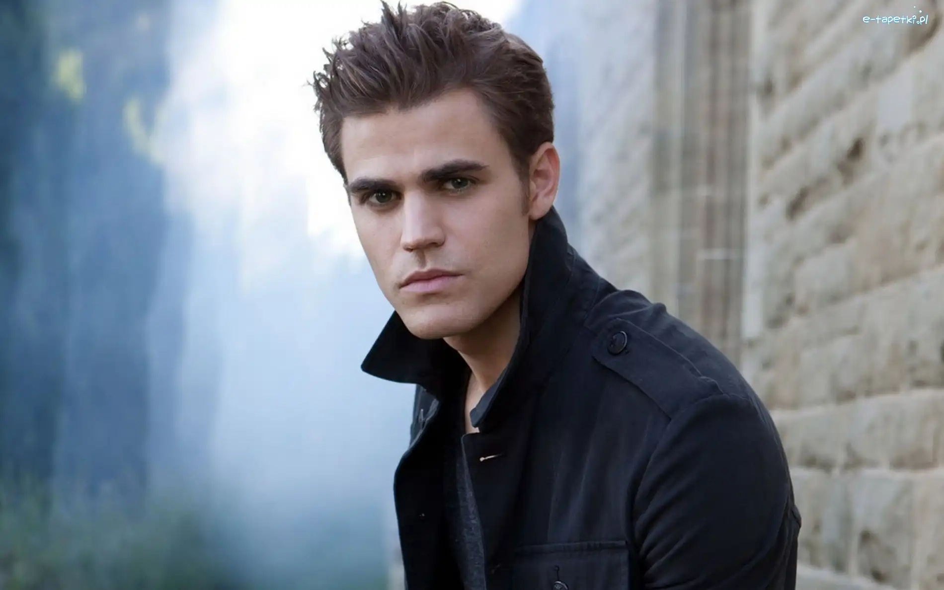 Paul Wesley, Aktor