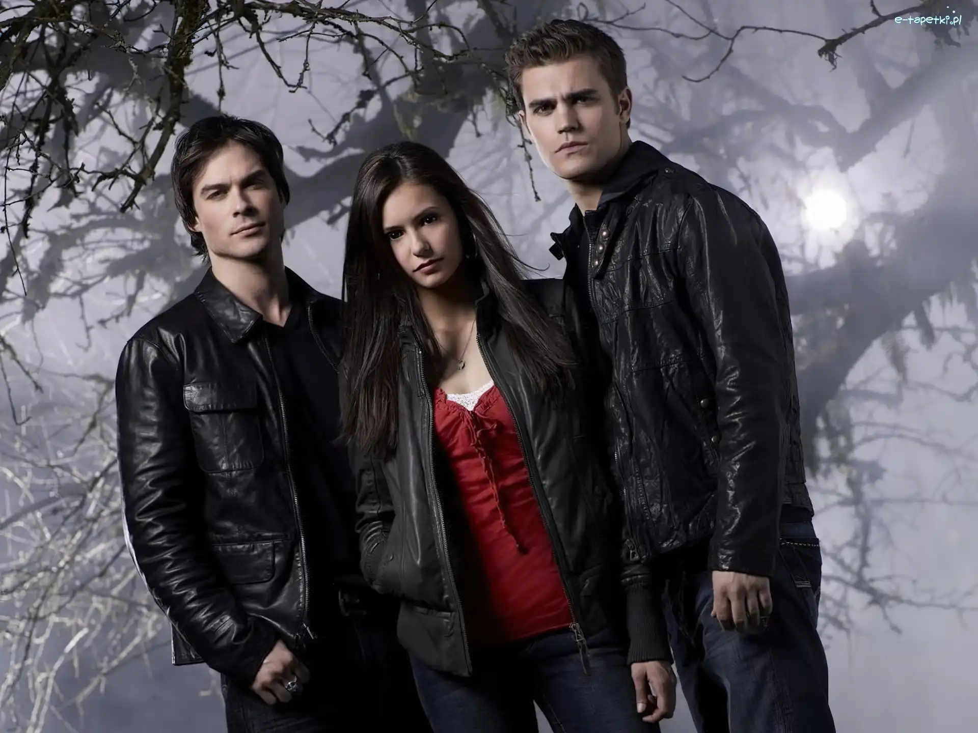 Pamiętniki wampirów, Ian Somerhalder, The Vampire Diaries, Paul Wesley, Nina Dobrev