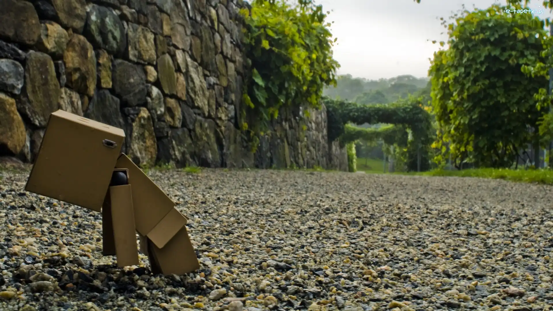 Droga, Kamienista, Danbo