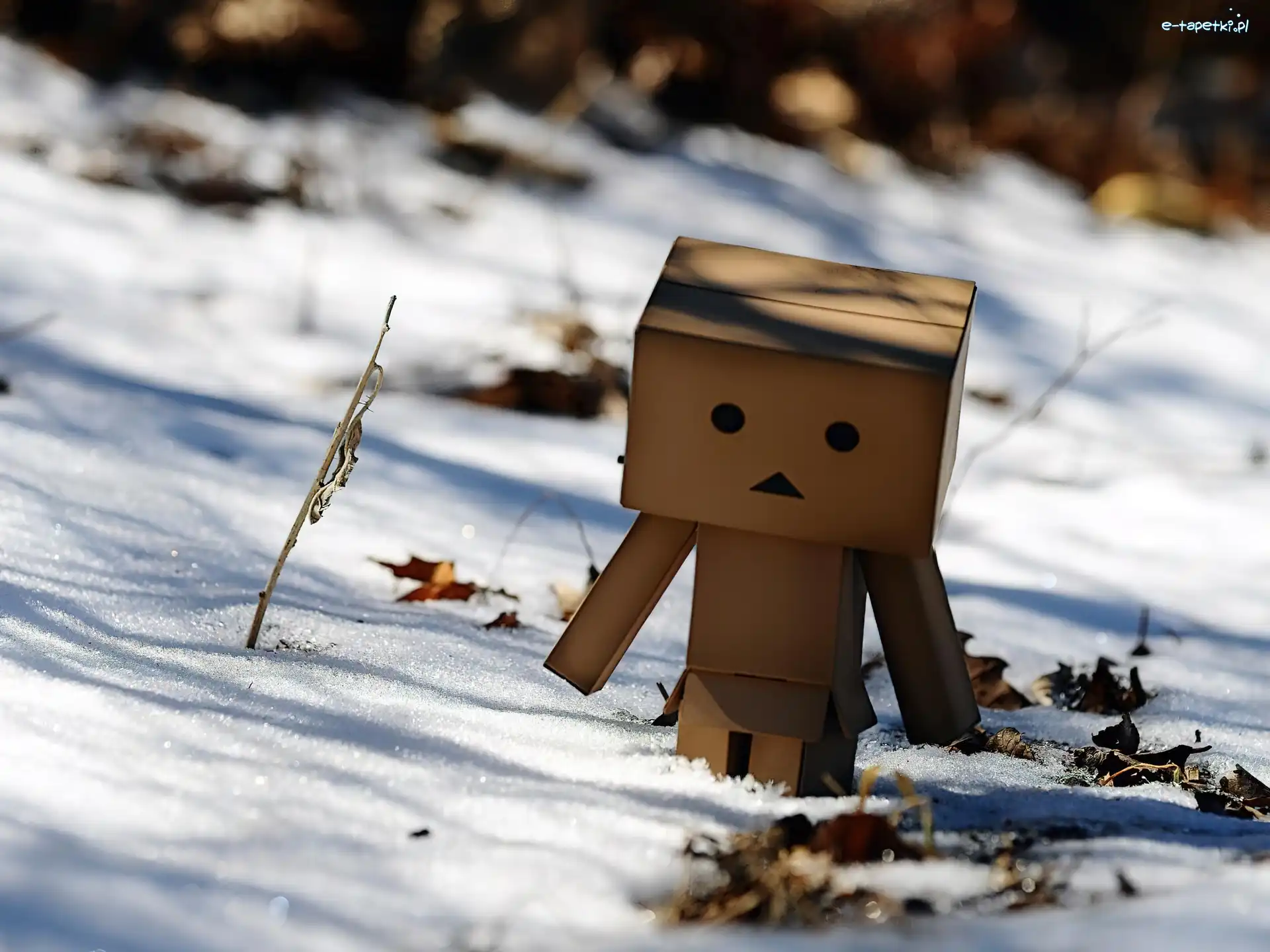 Ludzik, Zima, Danbo, Kartonowy