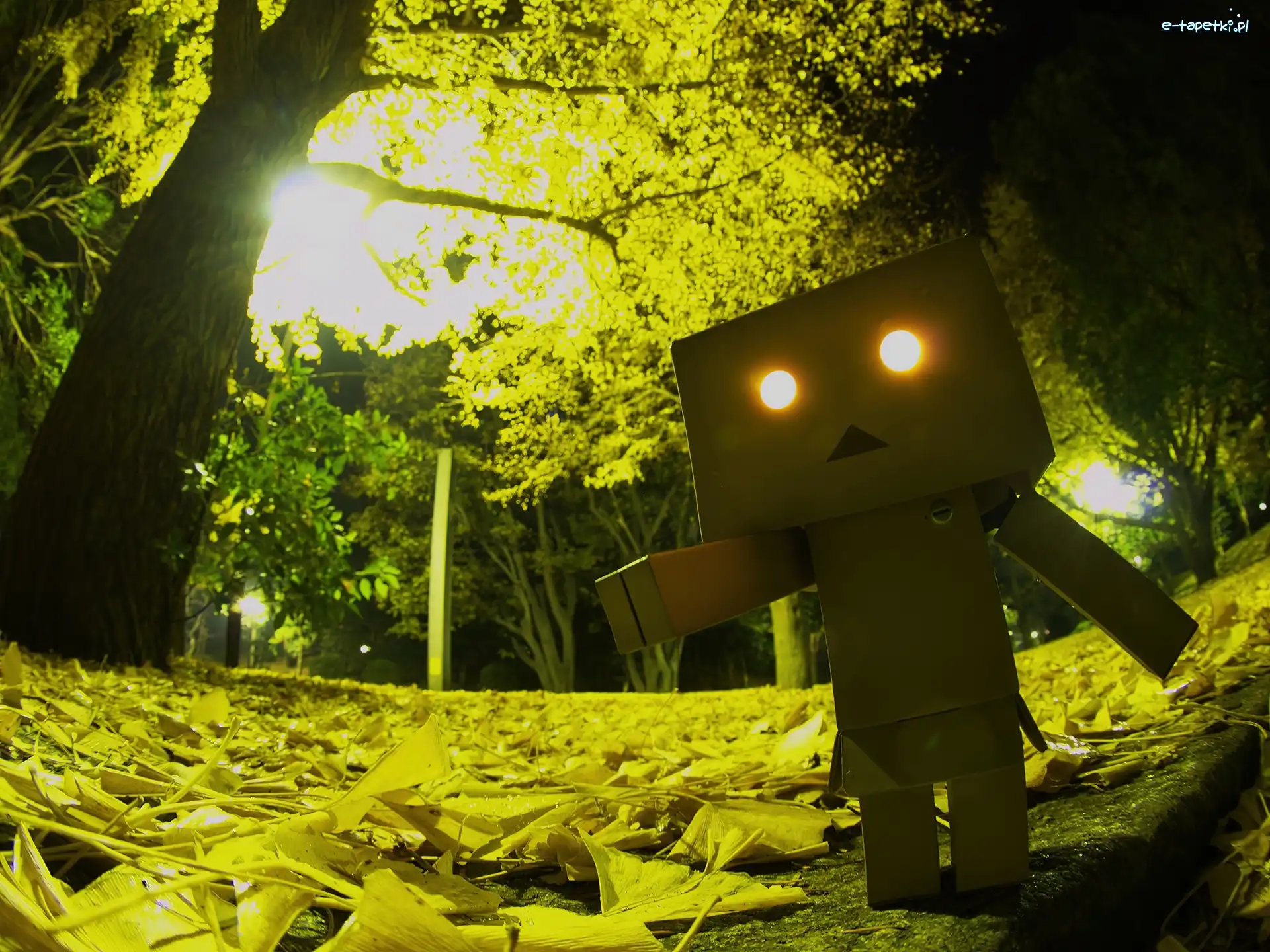 Ludek, Park, Danbo, Kartonowy