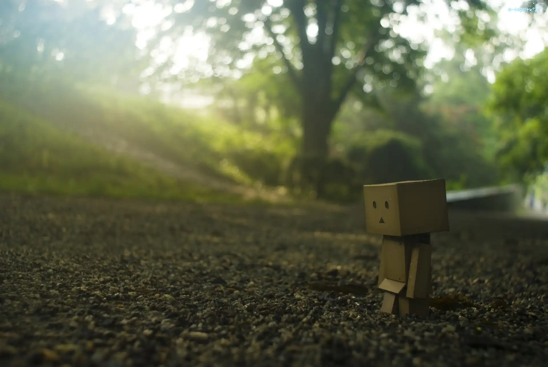 Plastikowy, Spacer, Ludzik, Danbo