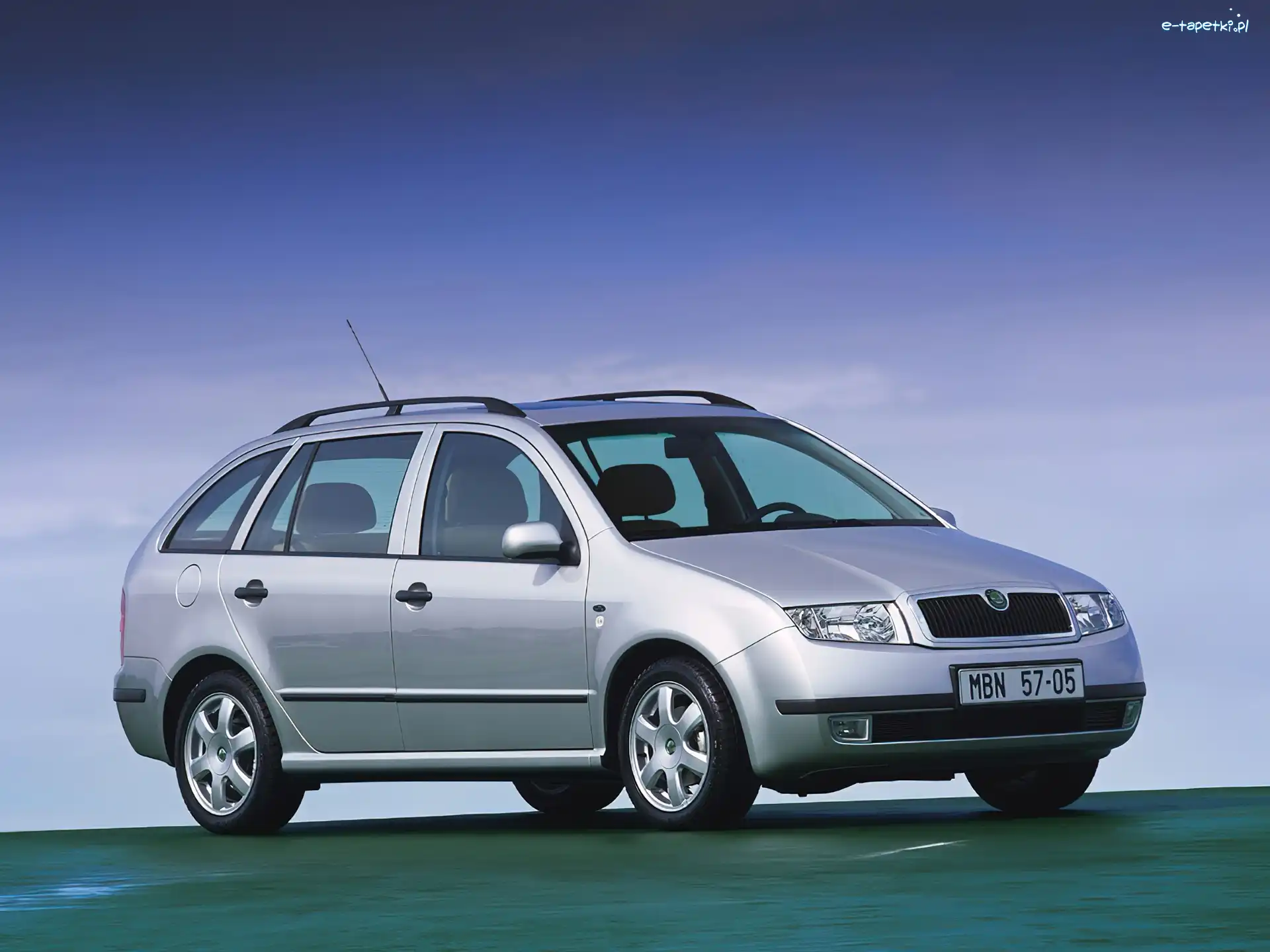 Kombi, Skoda Fabia, Srebrna