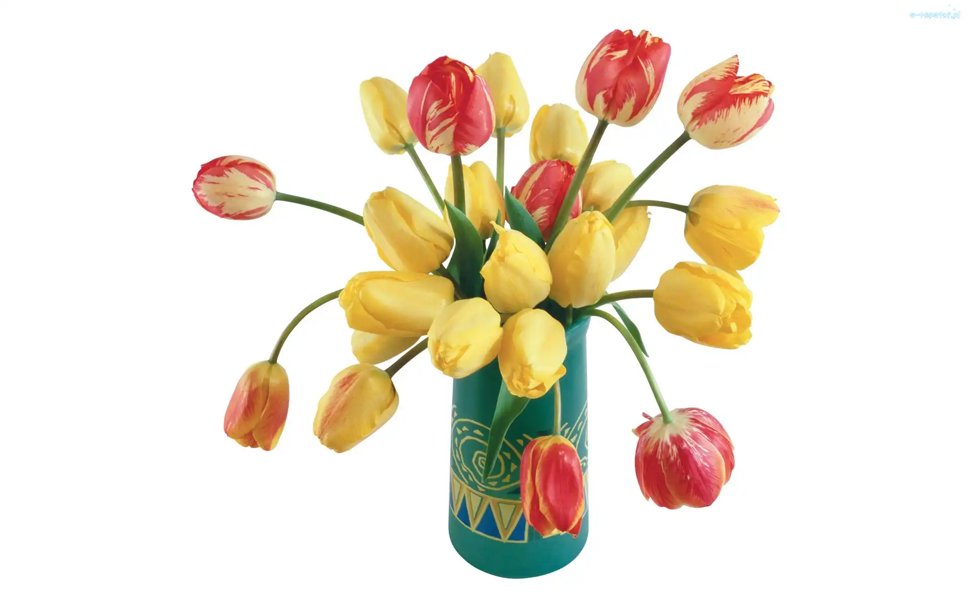 Wazon, Tulipany