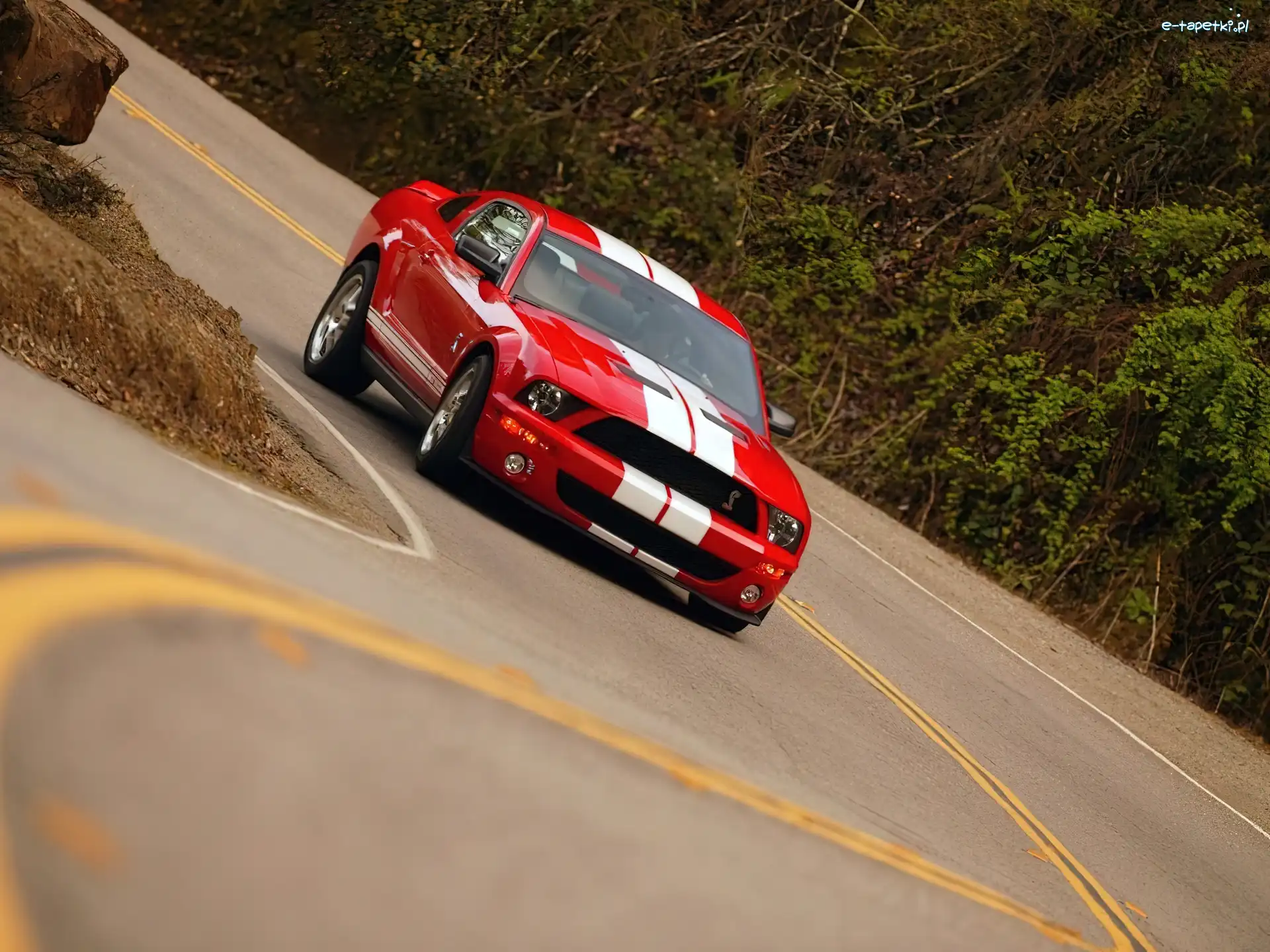 Shelby, GT 500, Ford Mustang, Czerwony