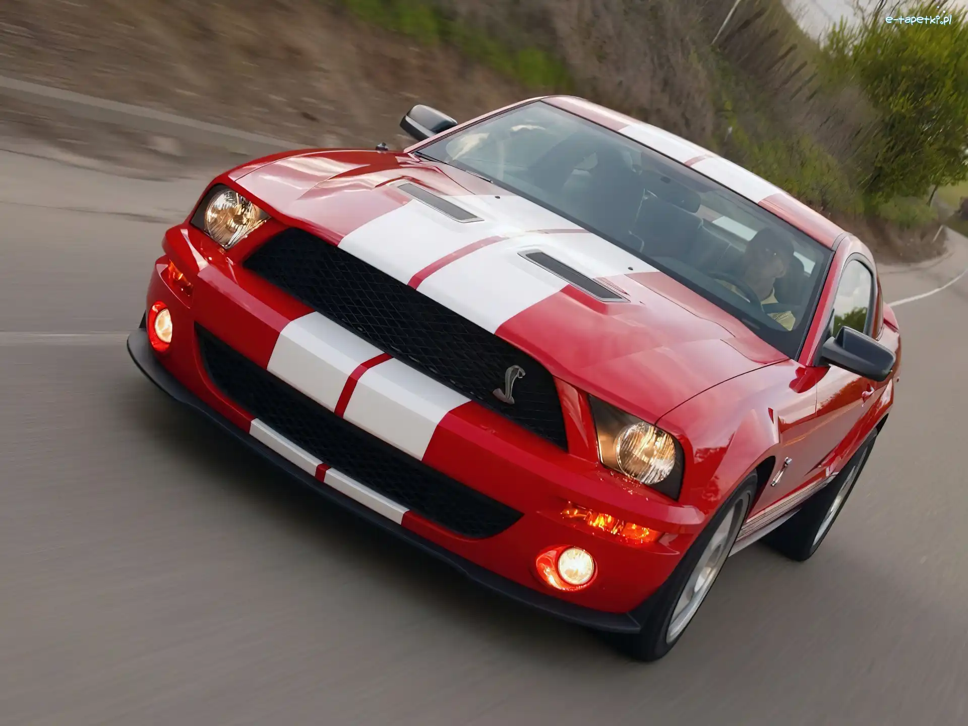 GT500, Shelby, Ford Mustang