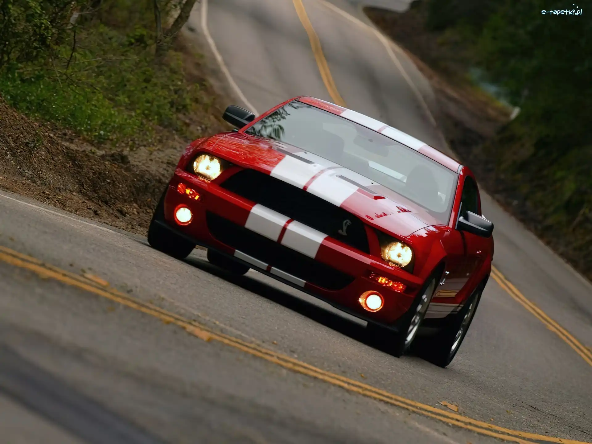 Ford Mustang, Shelby