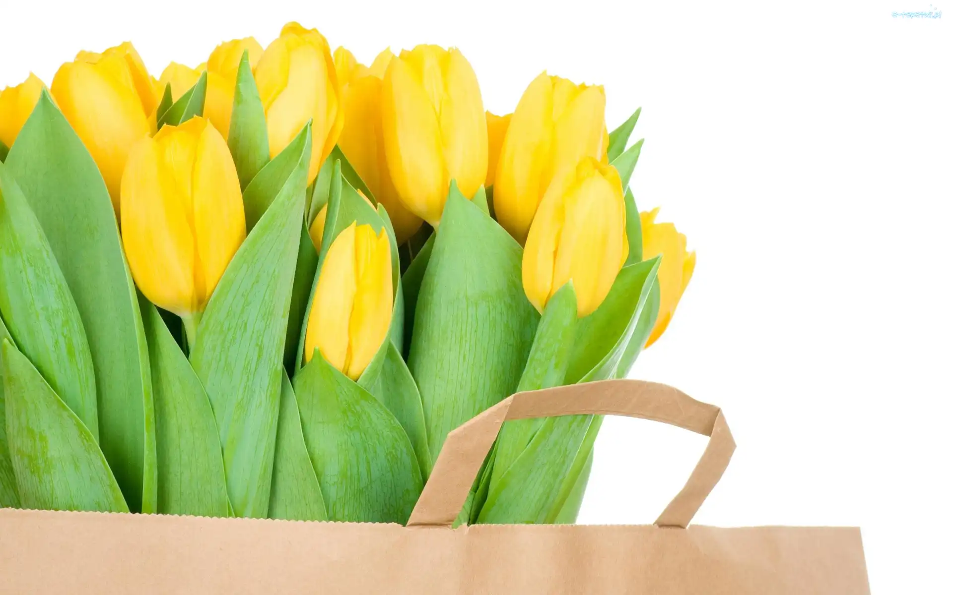 Tulipany, Torba, Papierowa, Żółte