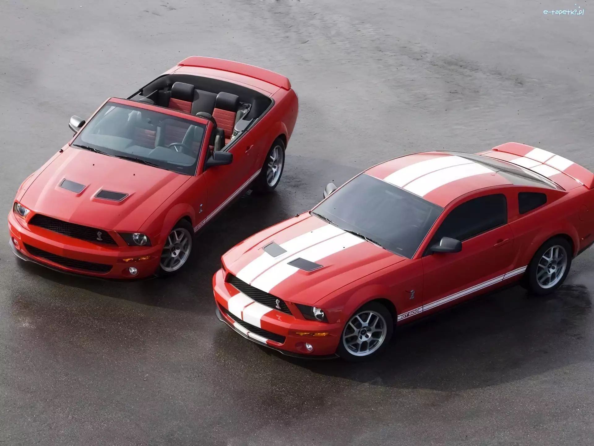Cabrio, Ford Mustang, Mustang Shelby