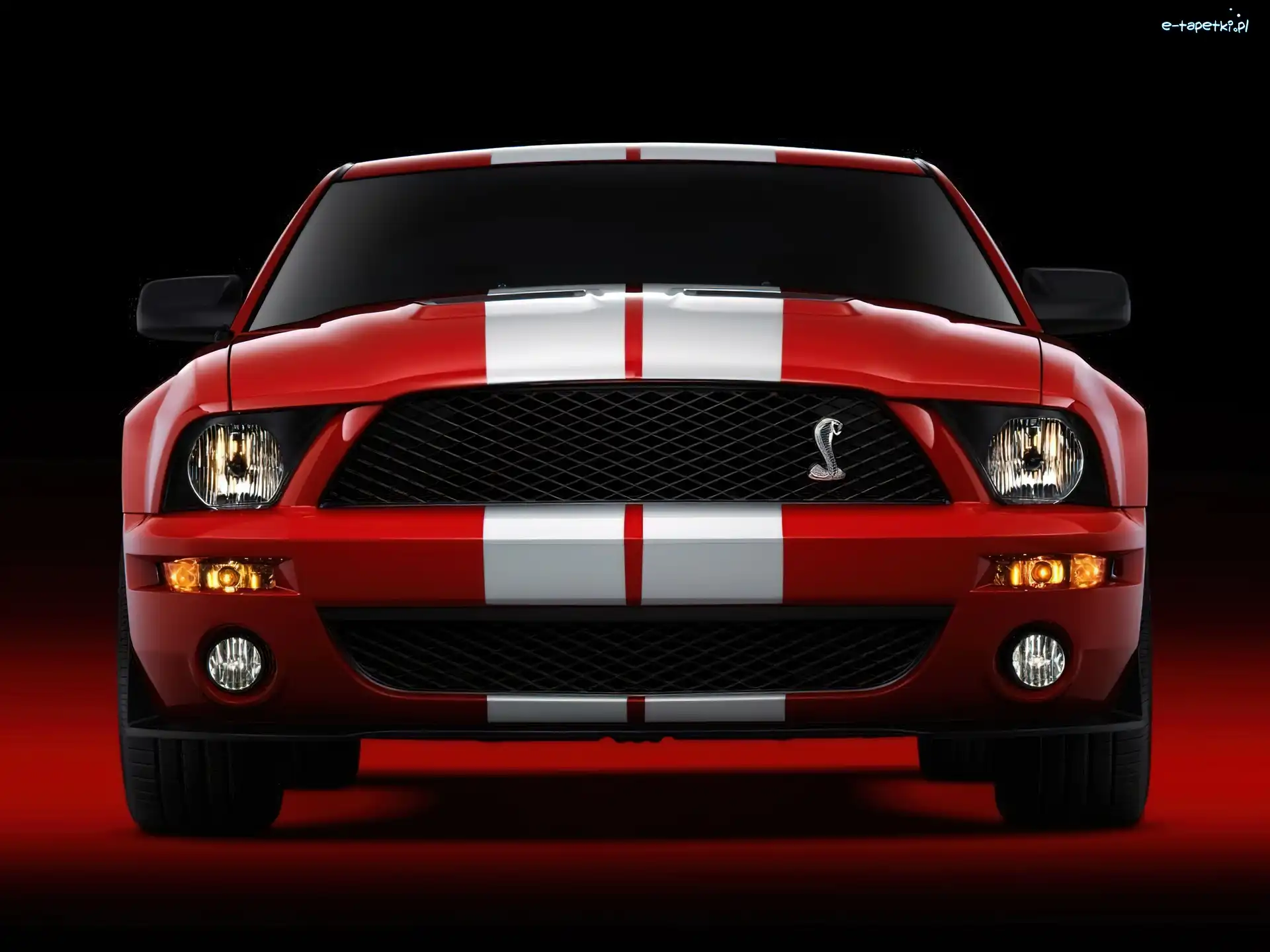 Ford Mustang, Halogeny, Czerwony, Shelby