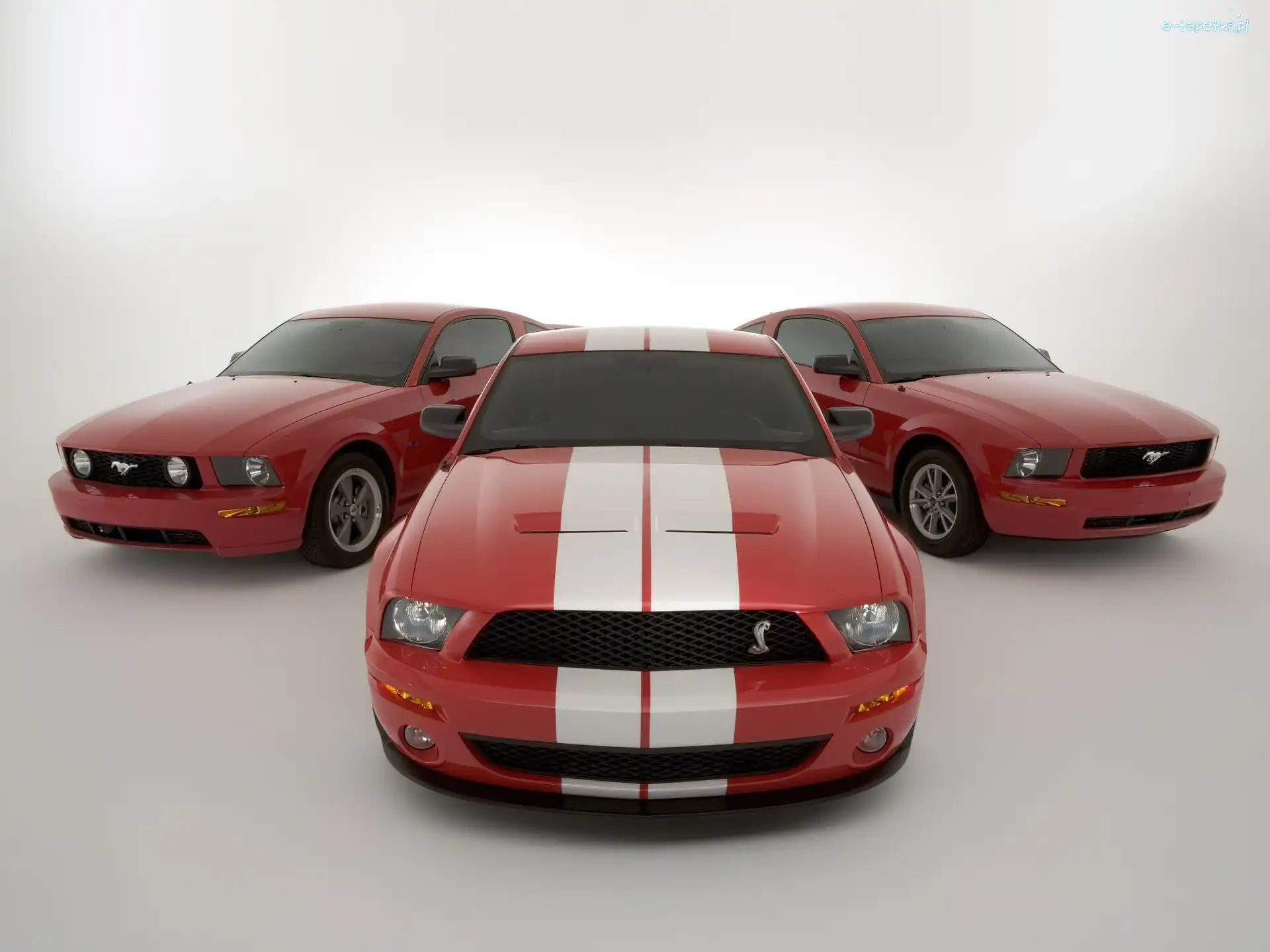Ford Mustang, Shelby