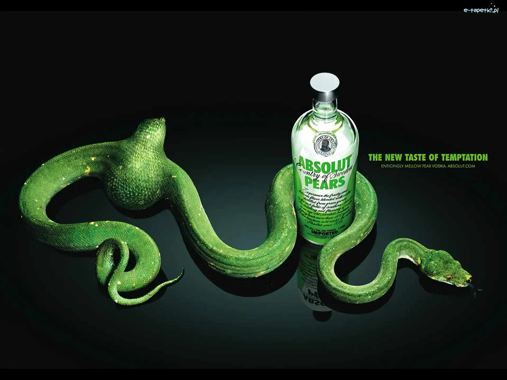 Absolut, Wąż, Zielony, Wódka