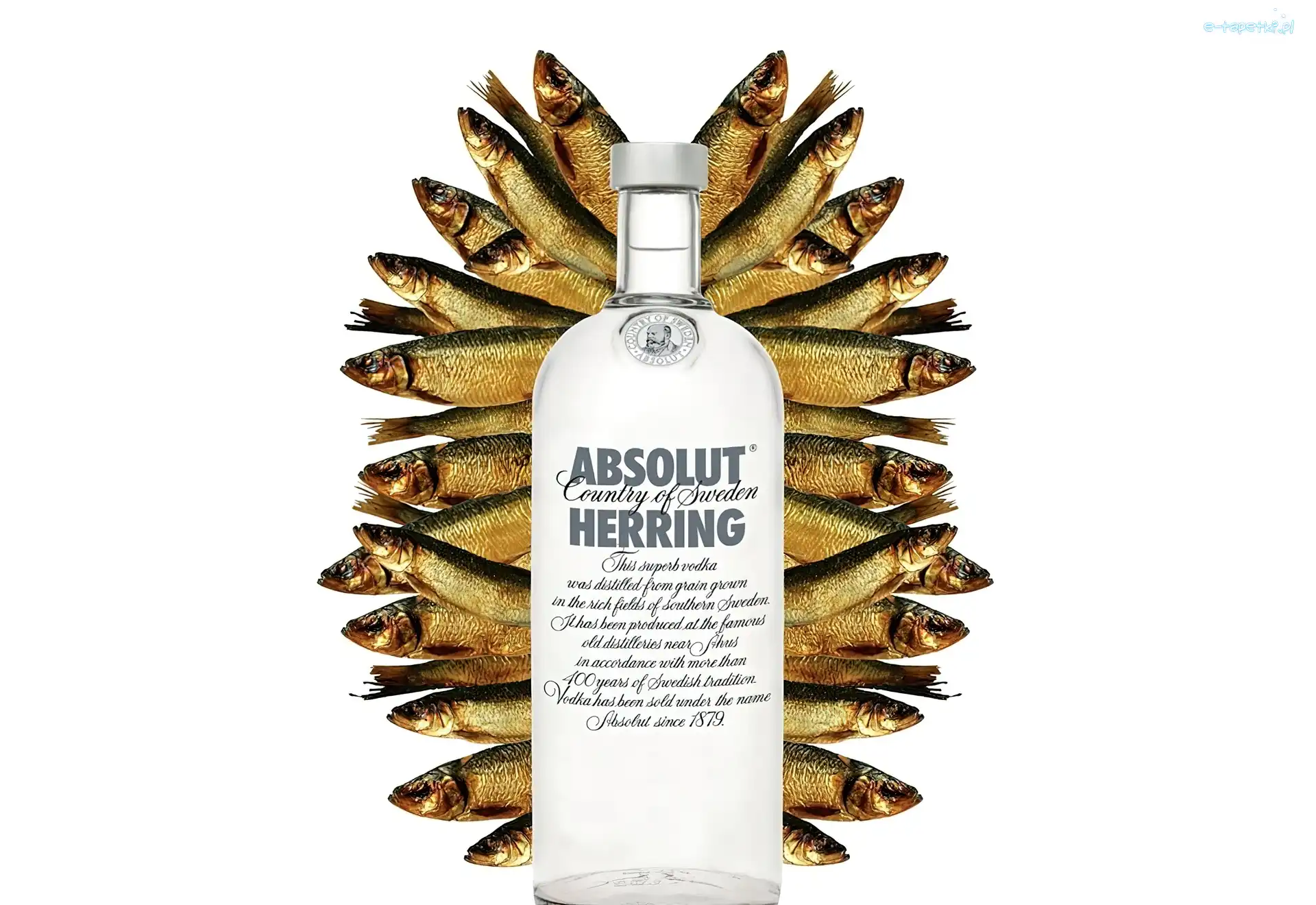 Herring, Absolut