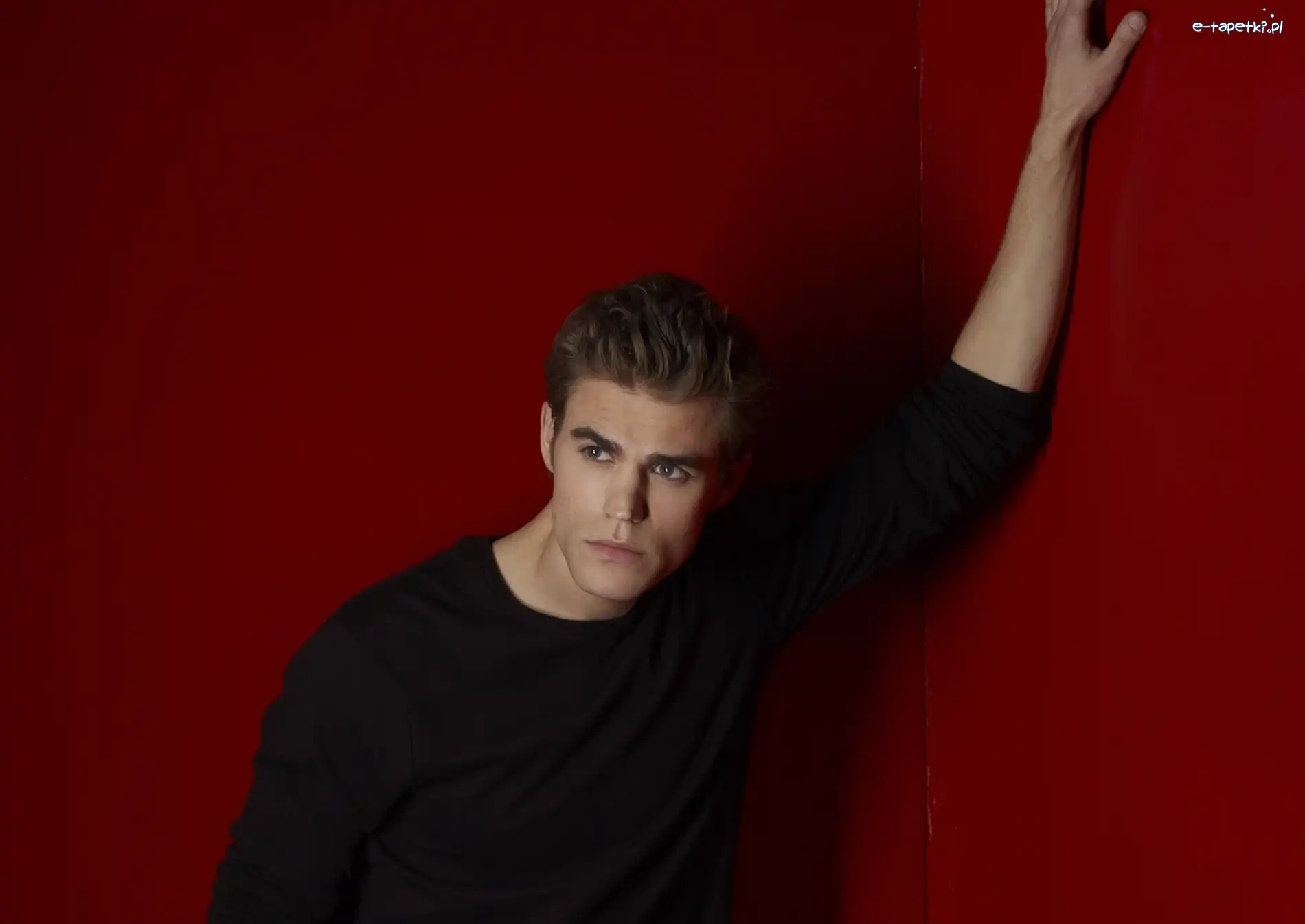 Stefan Salvatore, Paul Wesley