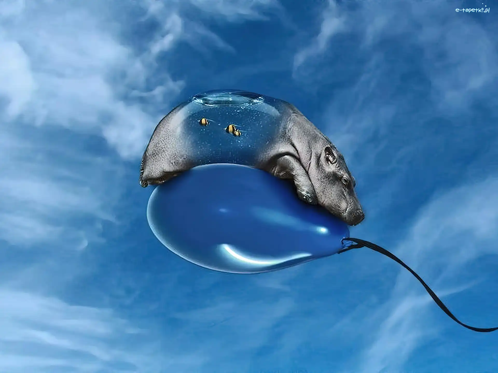 Niebo, Balon, Hipopotam
