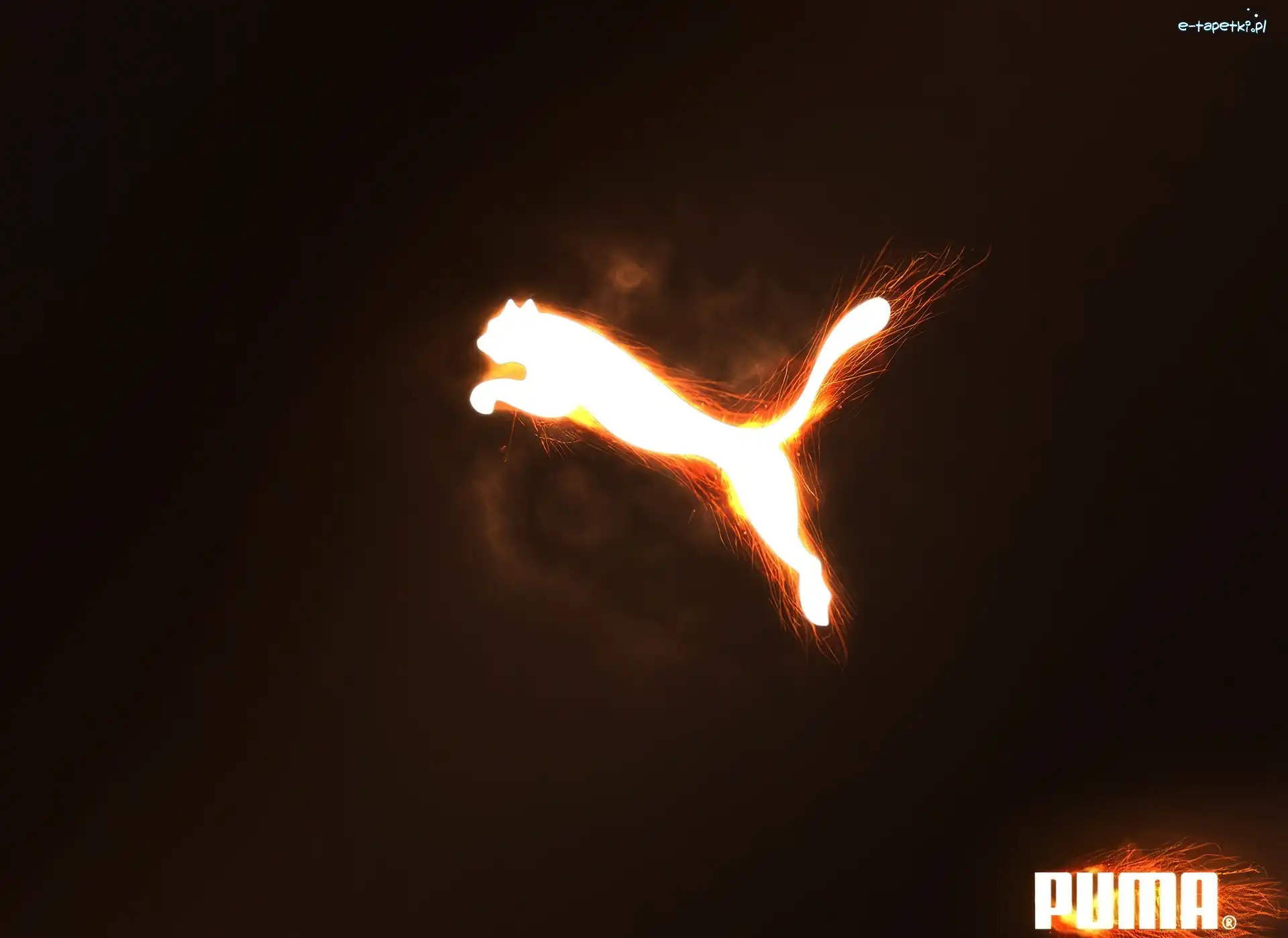 Puma, Ognista