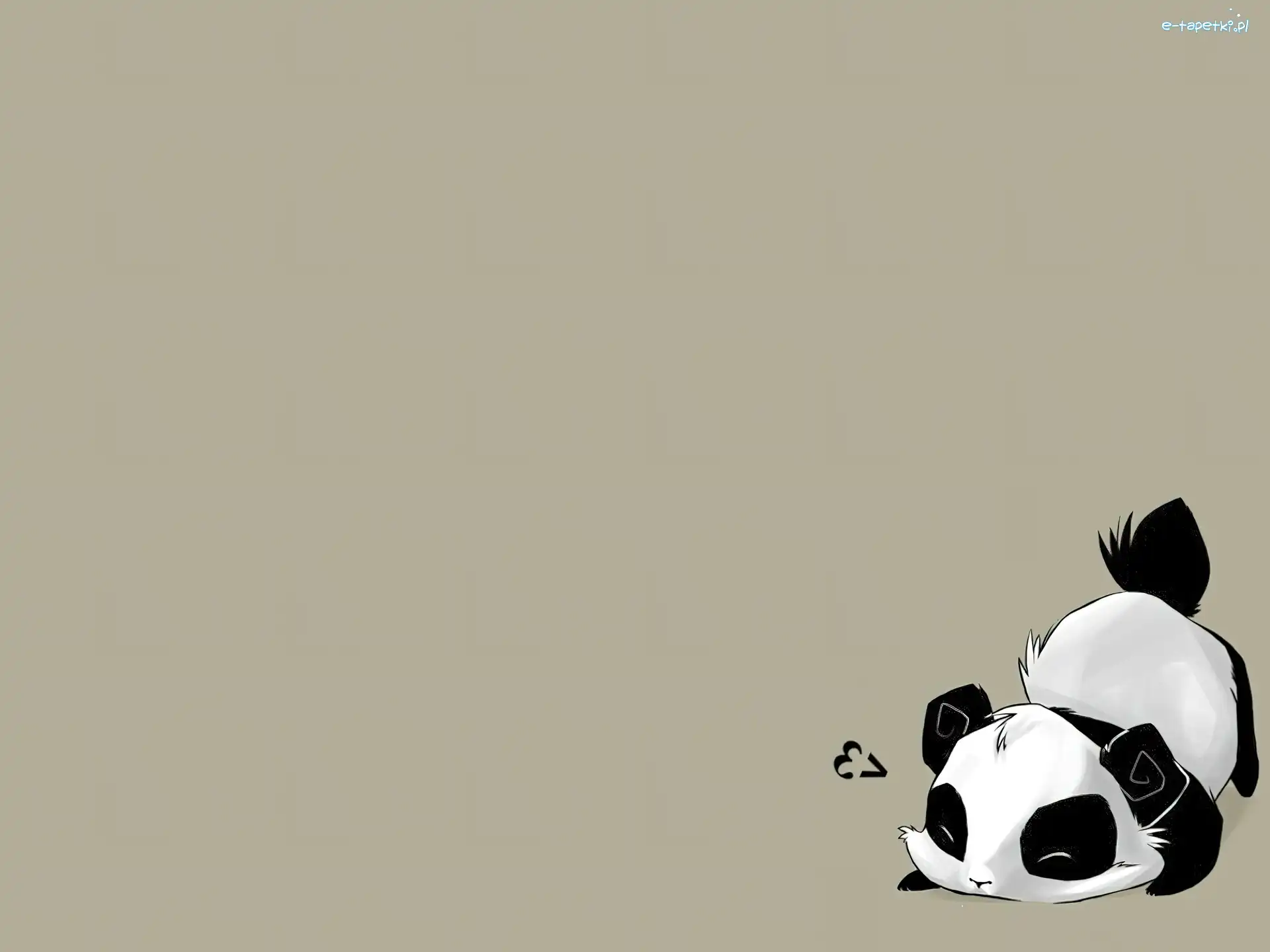 Panda, Mała, Słodka