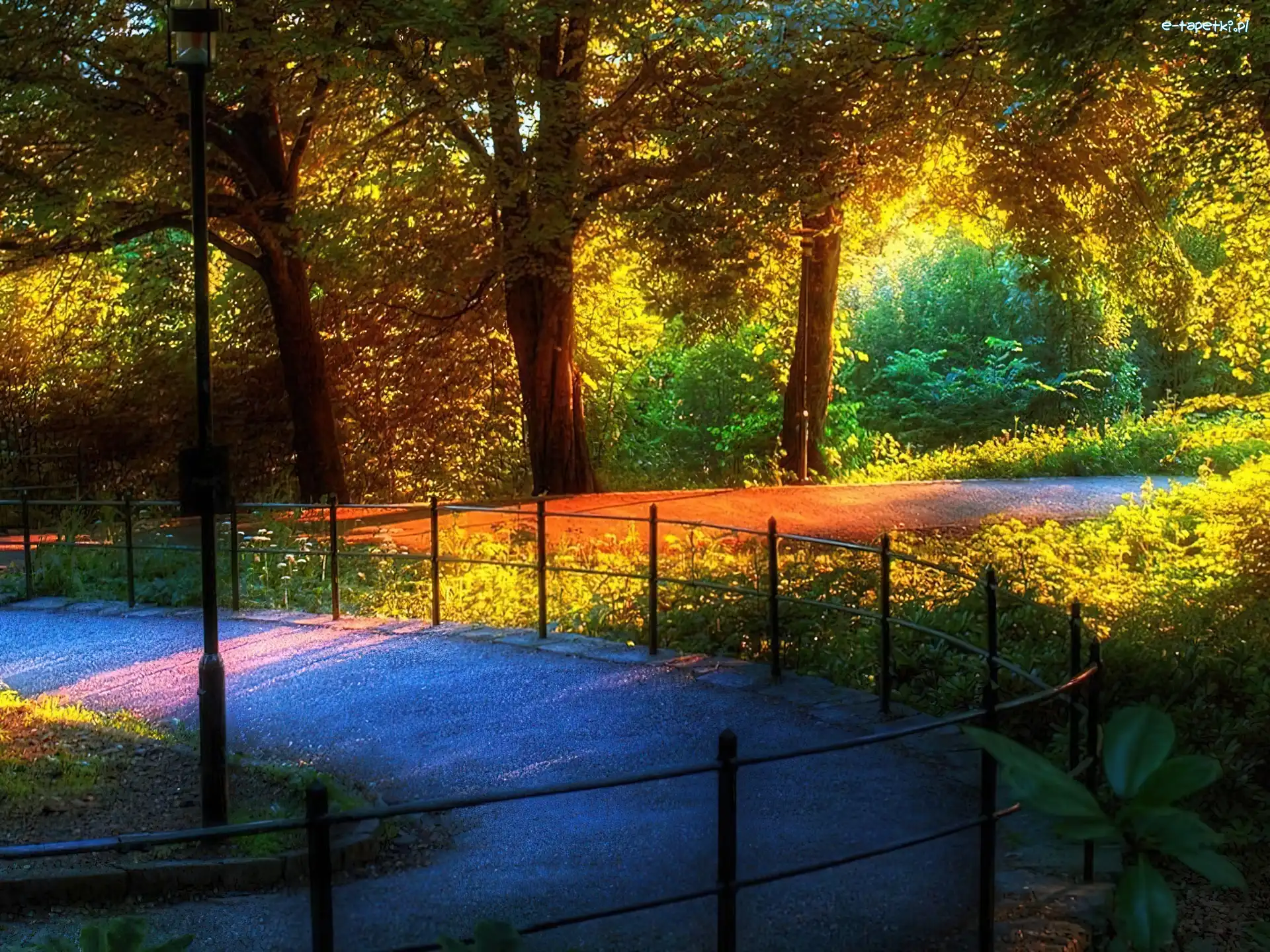 Słońce, Alejka, Park