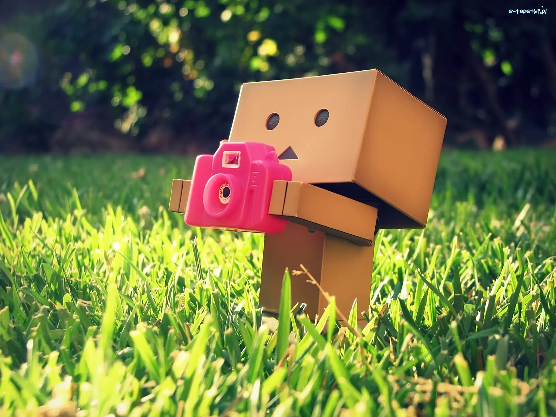 Aparat, Różowy, Danbo