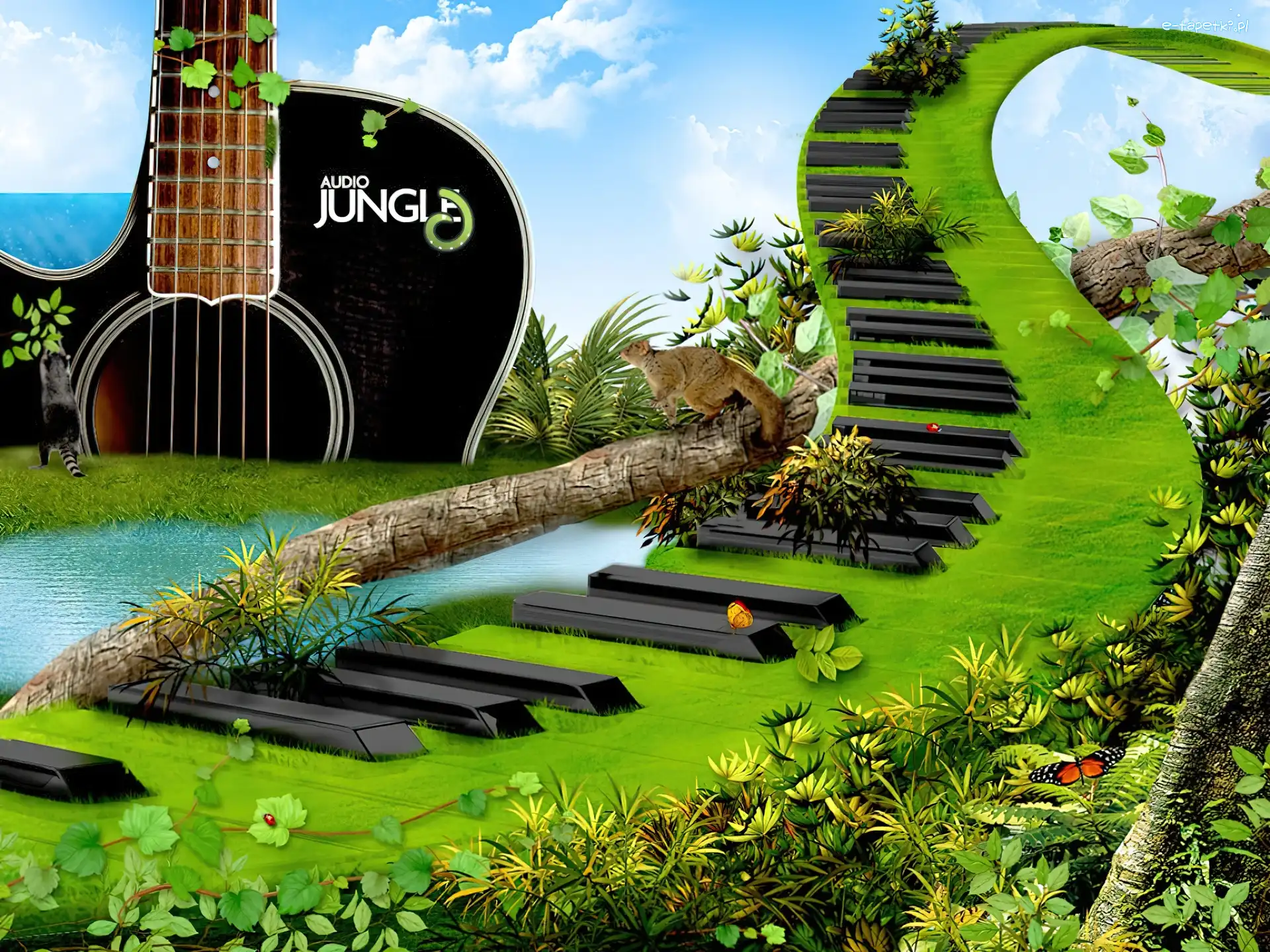 Klawisze, Gitara, Dżungla