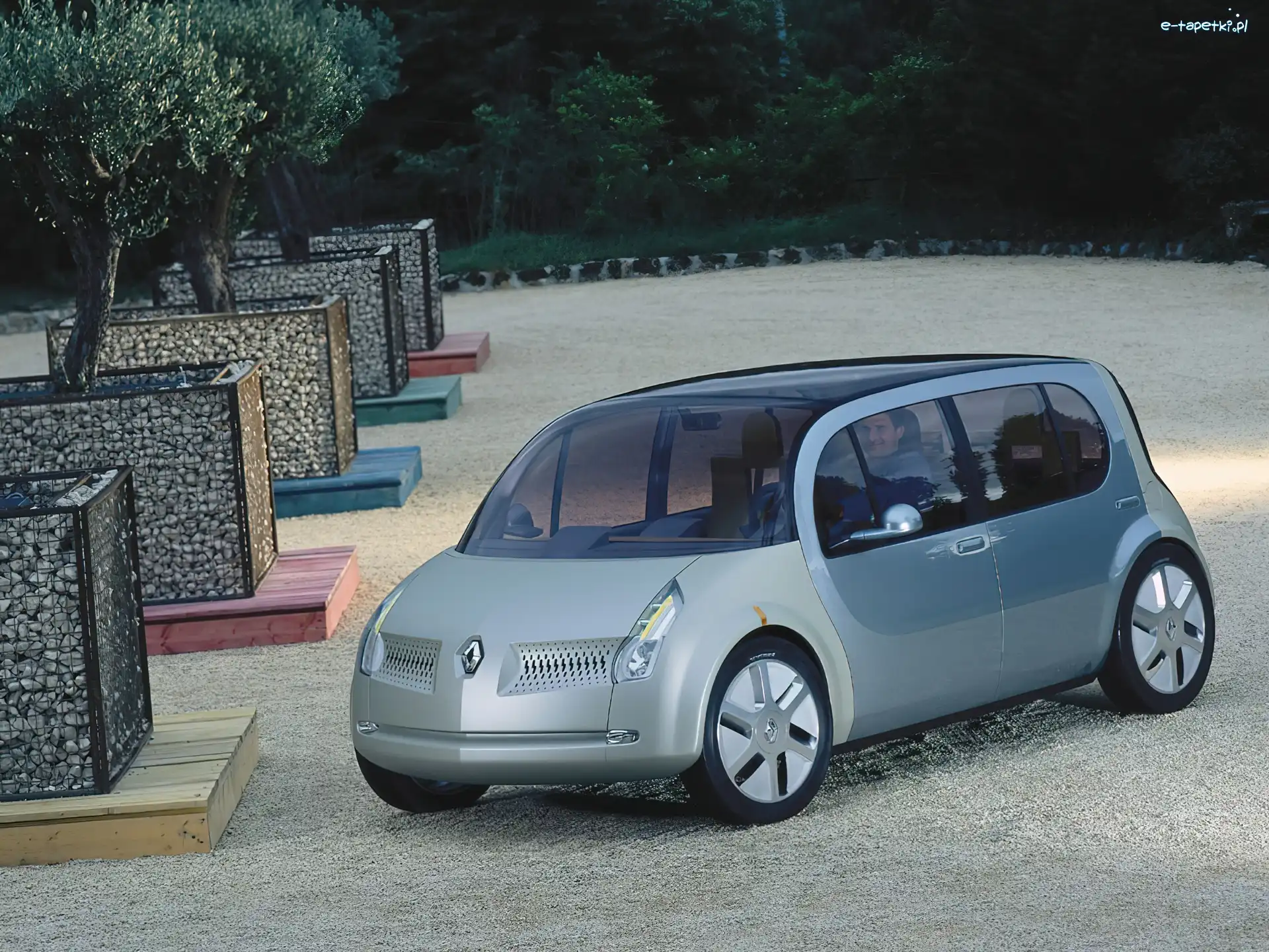 Dwu kolorowy Renault Ellypse