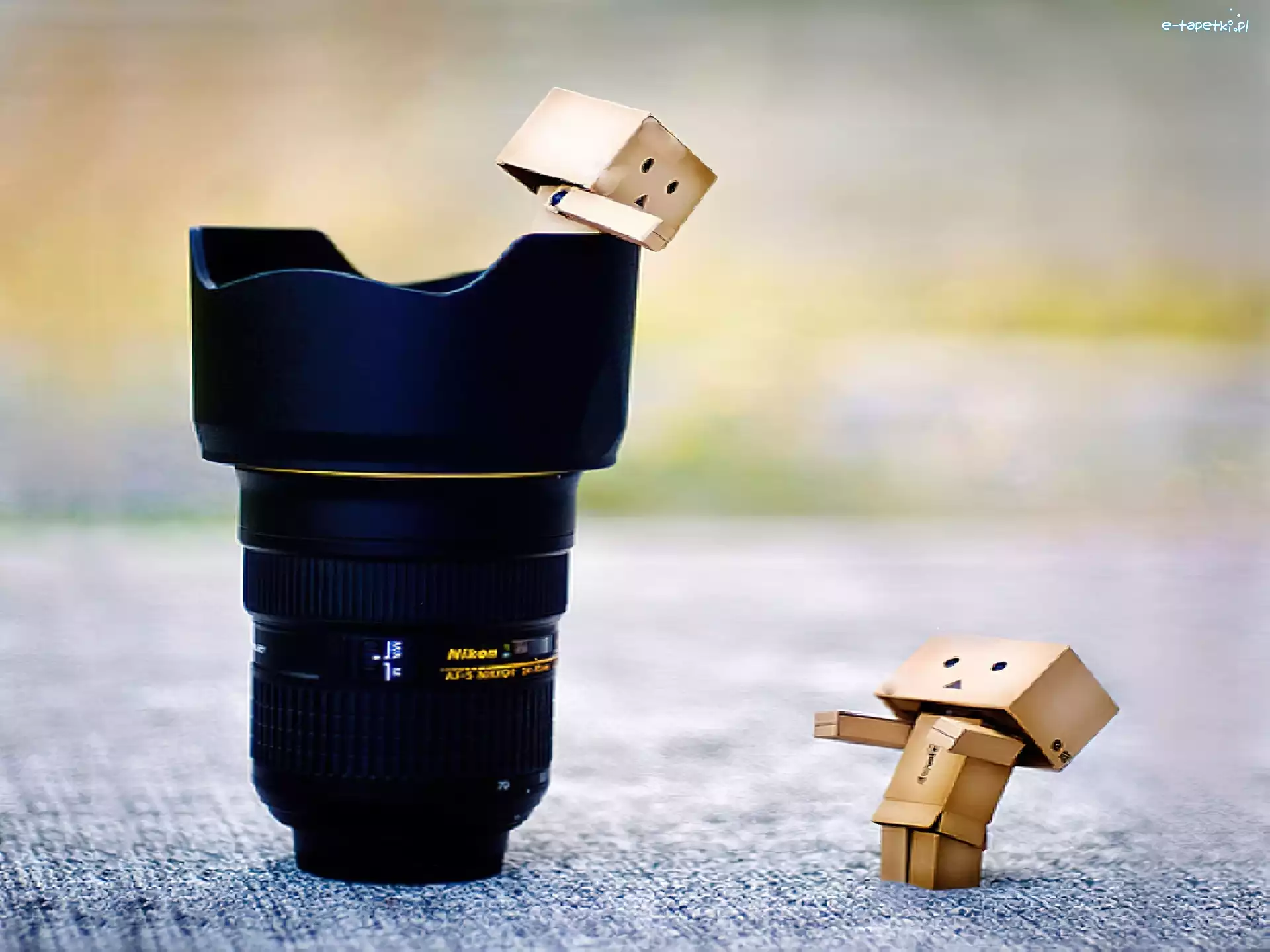 Obiektyw, Danbo