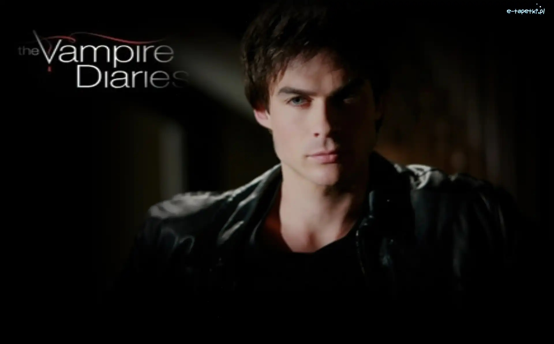 Ian Somerhalder, Vampire Diaries, Pamiętniki wampirów