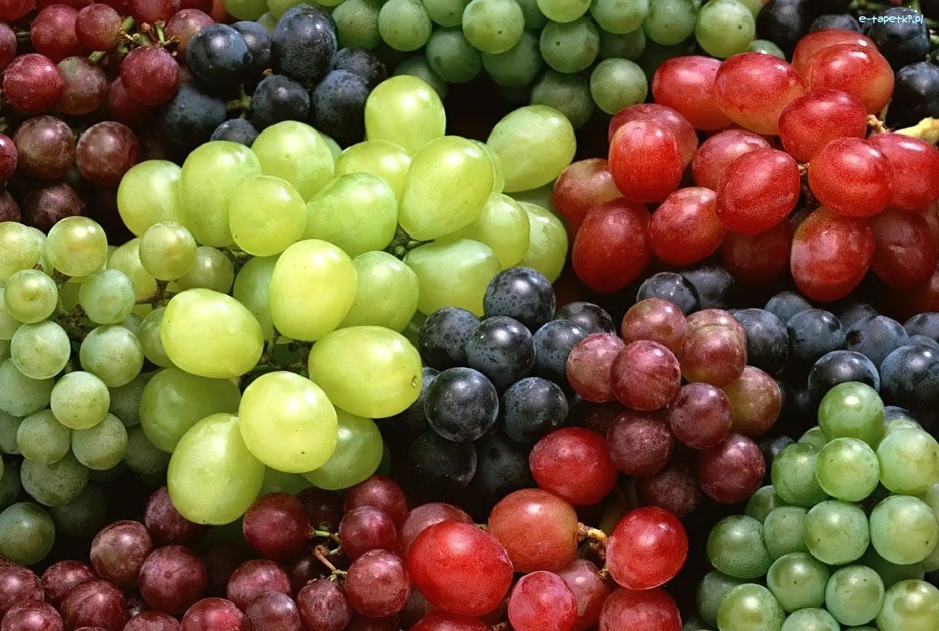 Winogron, Odmiany, Różne