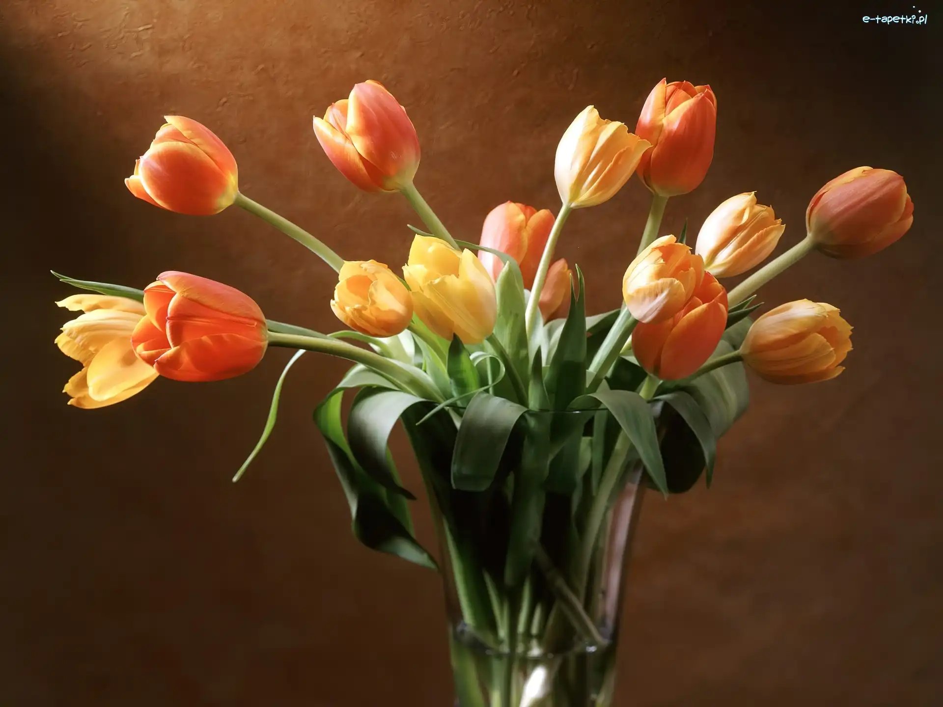 Wazon, Szklany, Tulipany