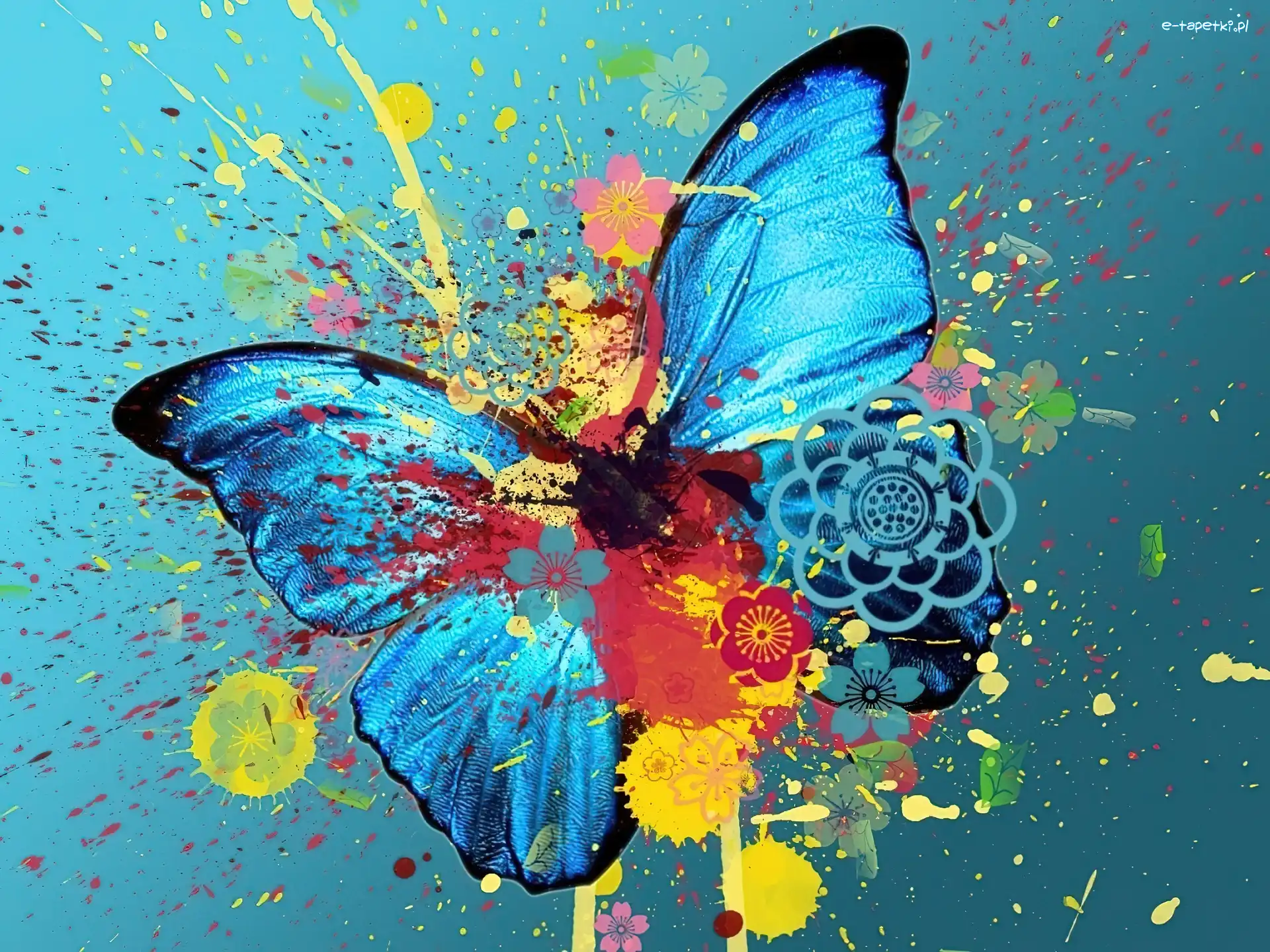 Abstrakcja, Motyl