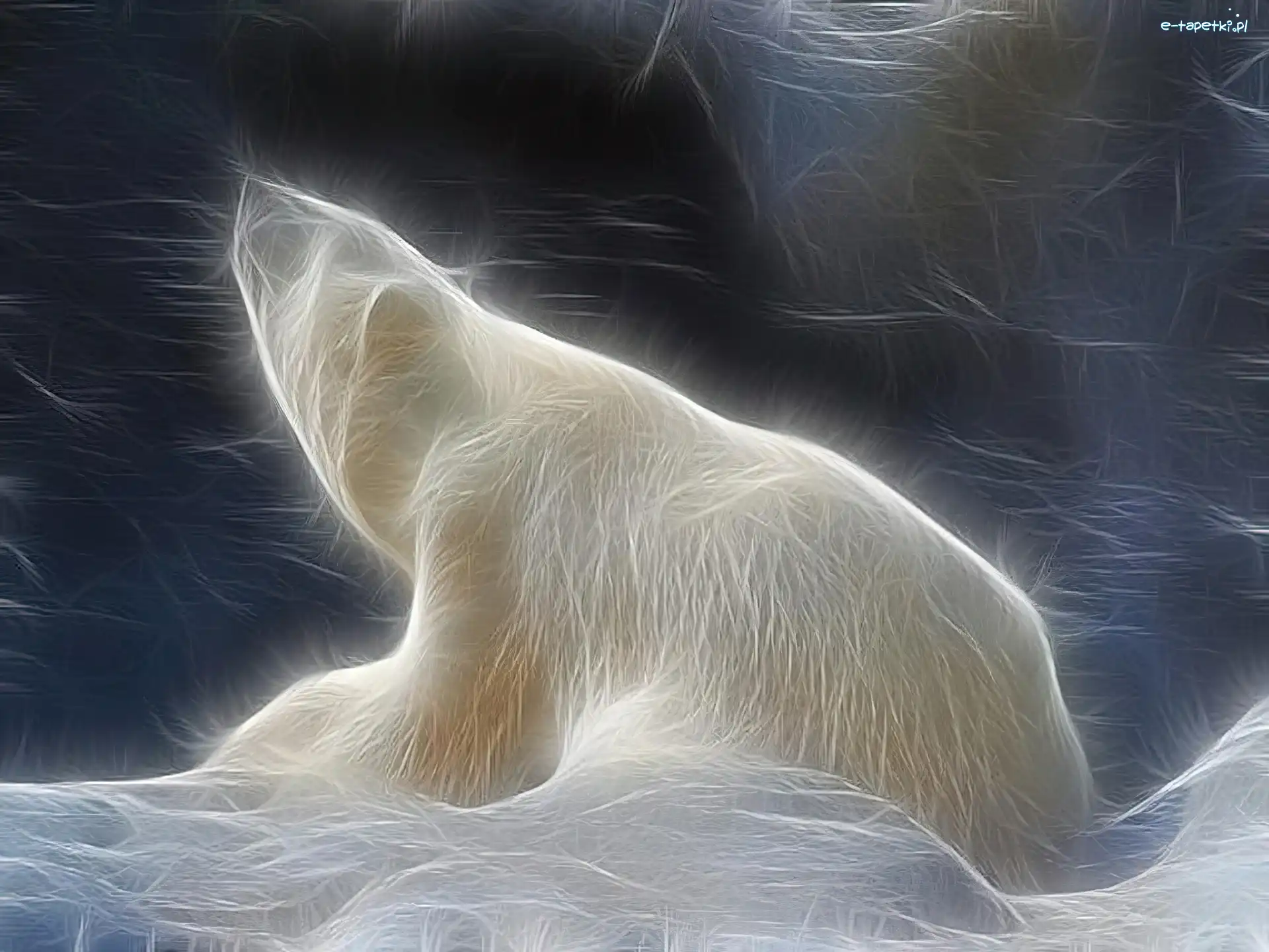 3D, Polarny, Niedźwiedź