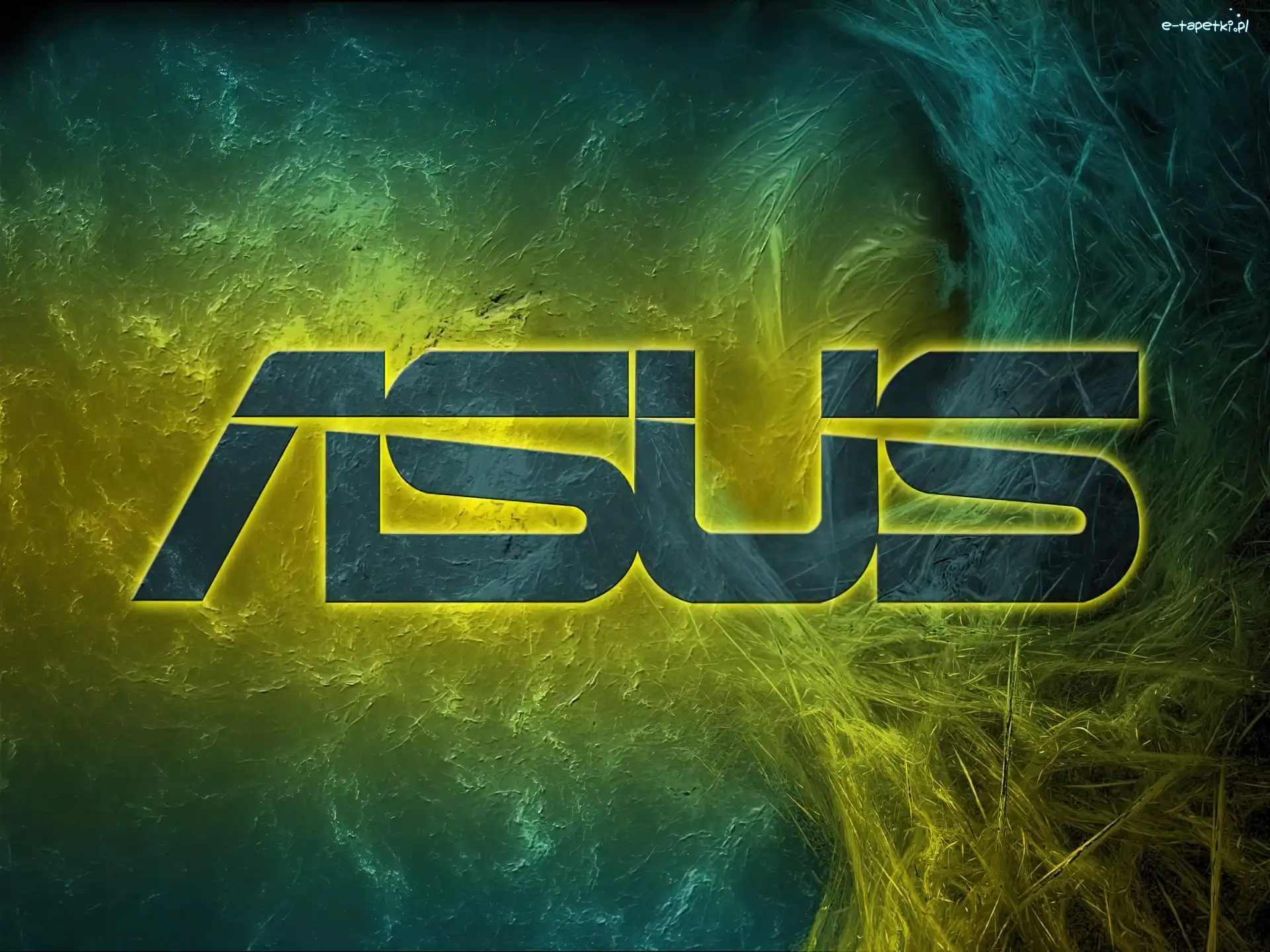Asus, Tapeta