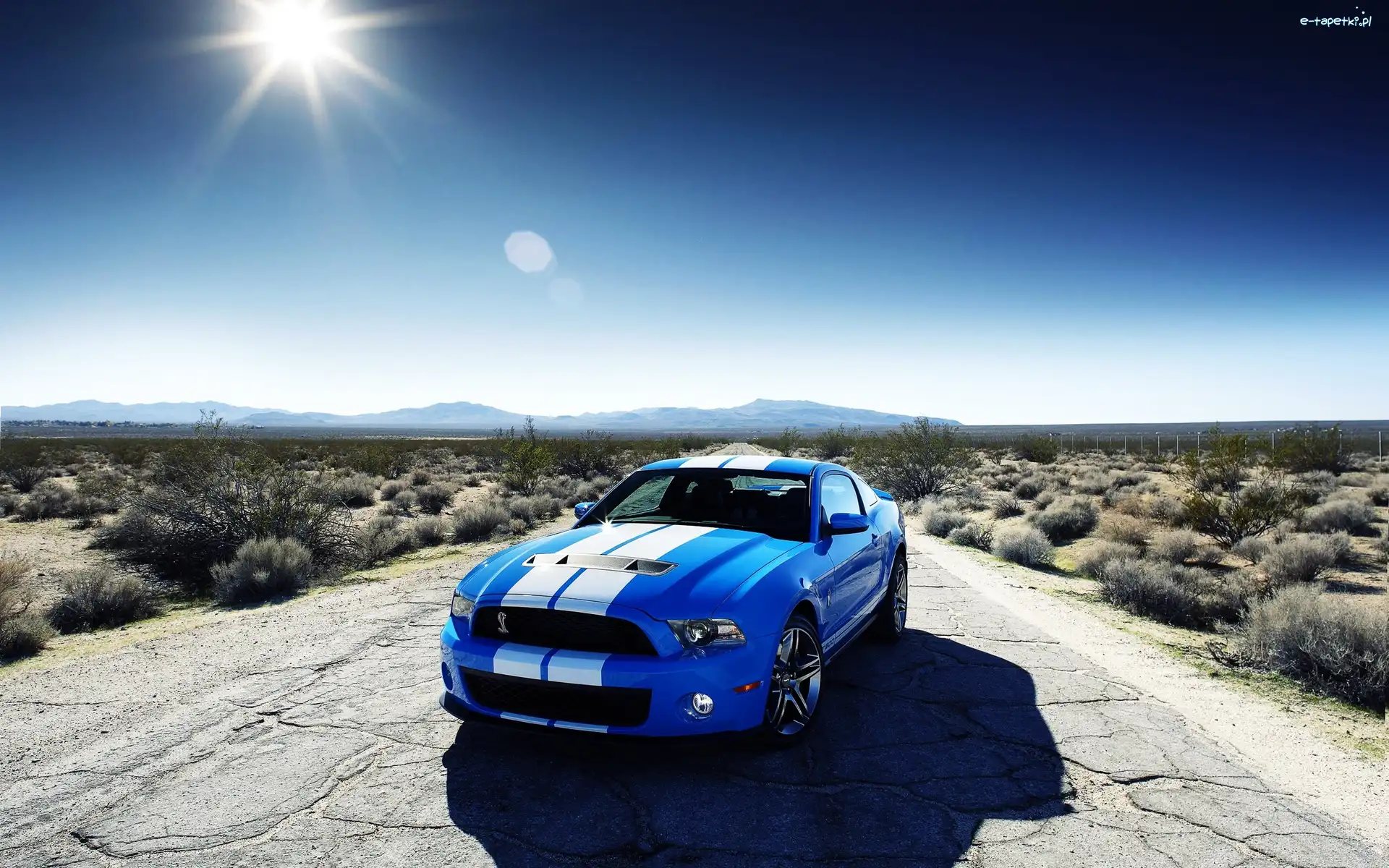 Pustynia, Shelby, Ford Mustang