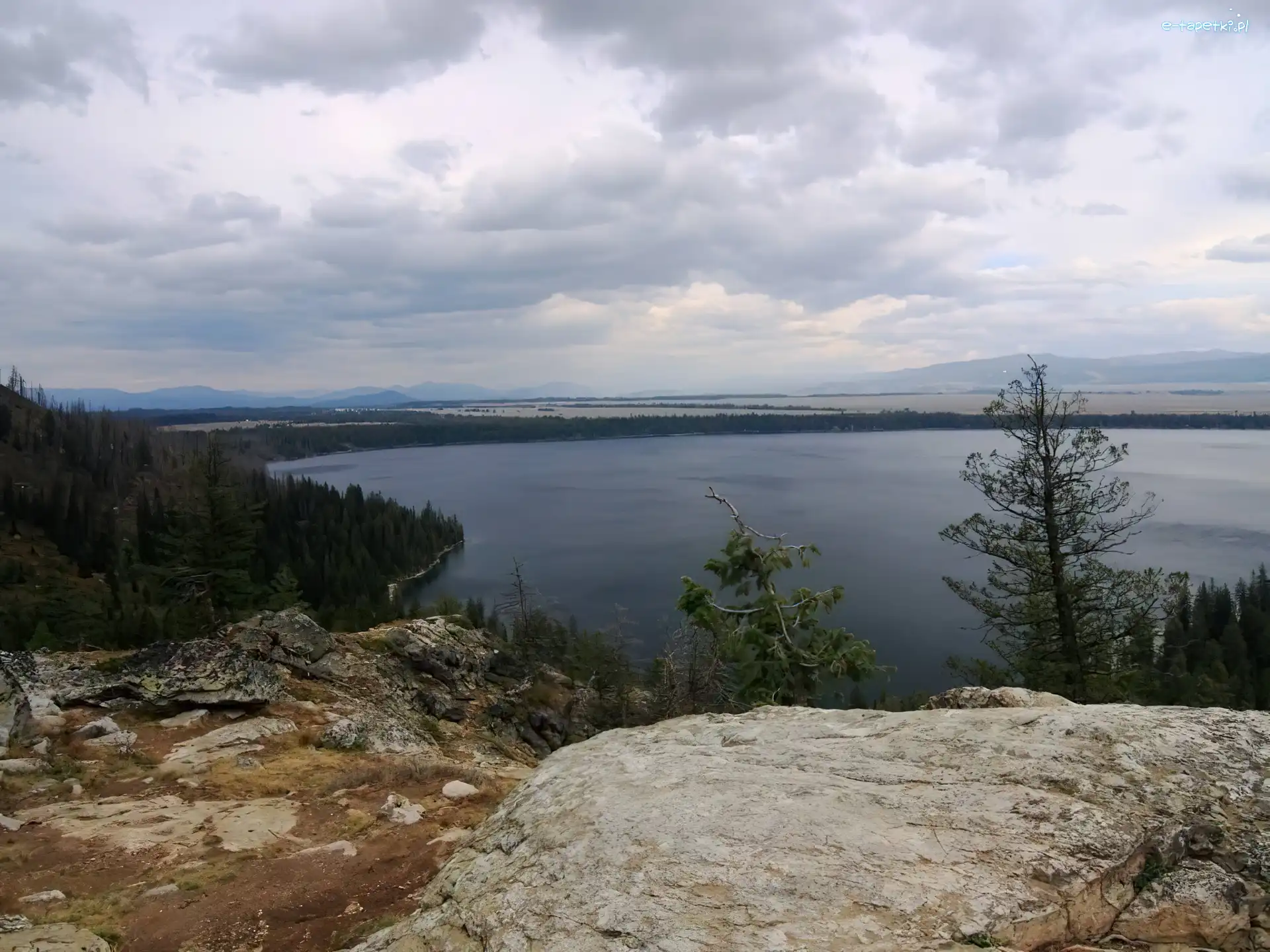 Skaliste, Drzewa, Wzniesienia, Jezioro