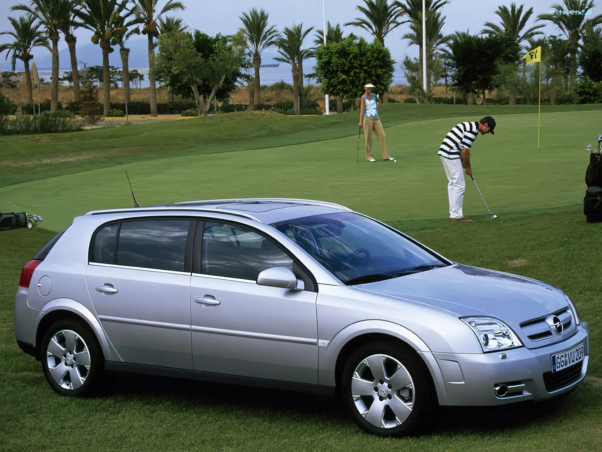 Trawa, Golf, Opel Signum