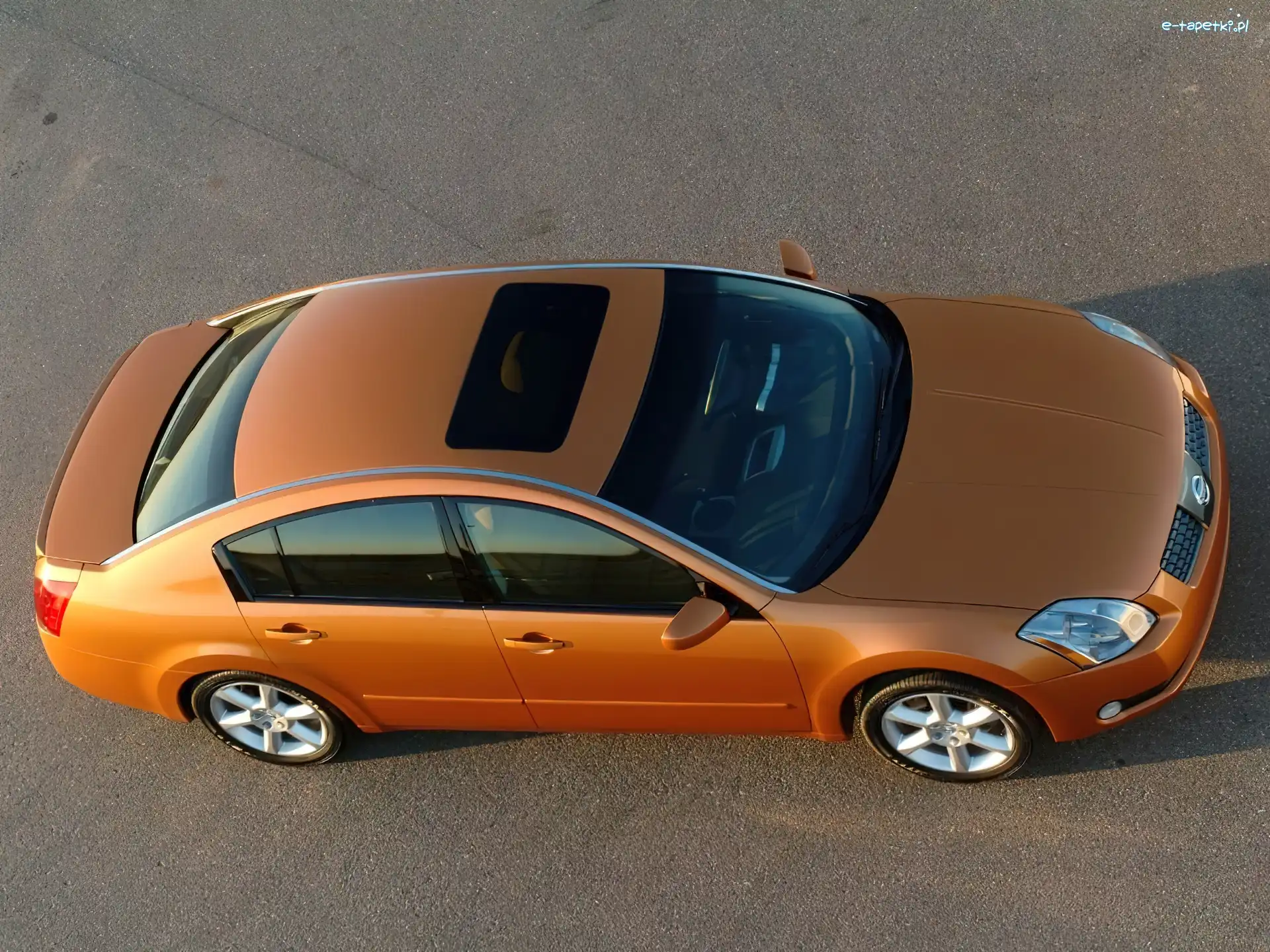 Nissan Maxima, Złoty