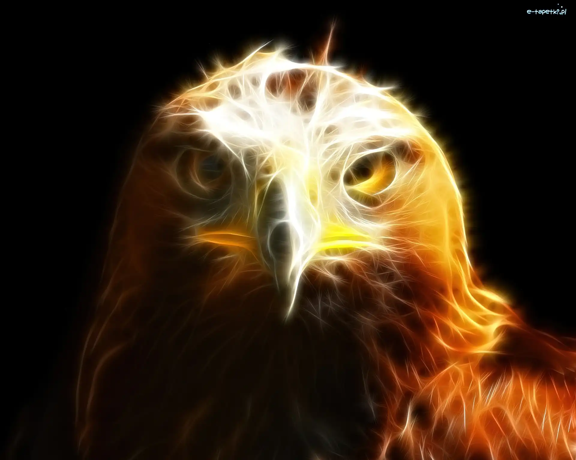 Fractalius, Orzeł