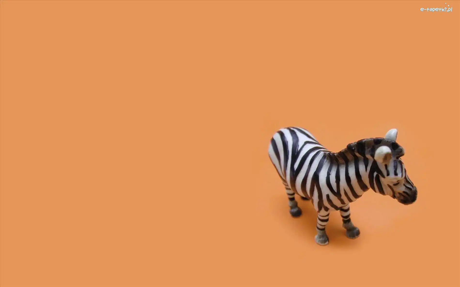 Zebra, Zabawka