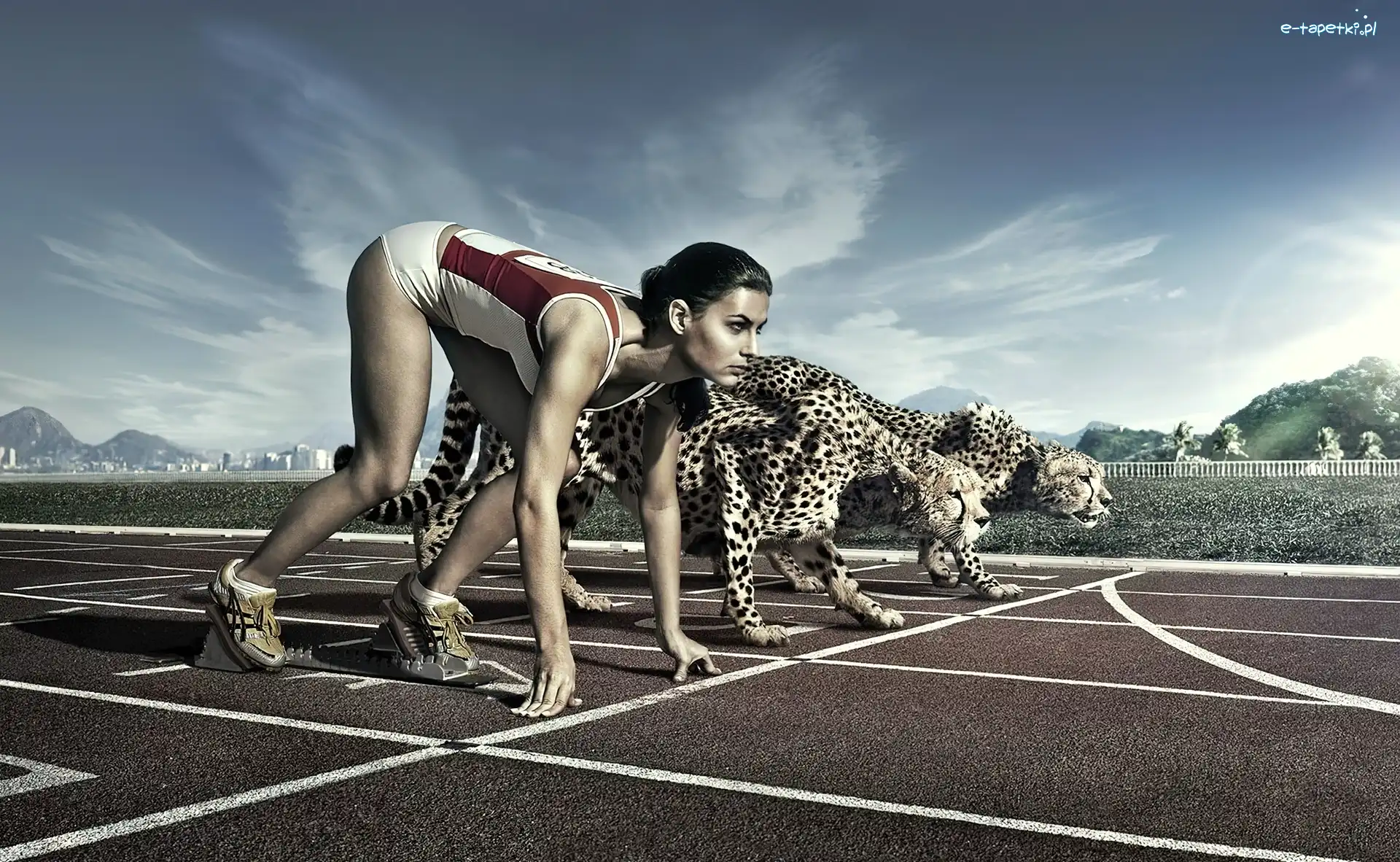 Sport, Kobieta, Zawody, Gepard, Bieżnia