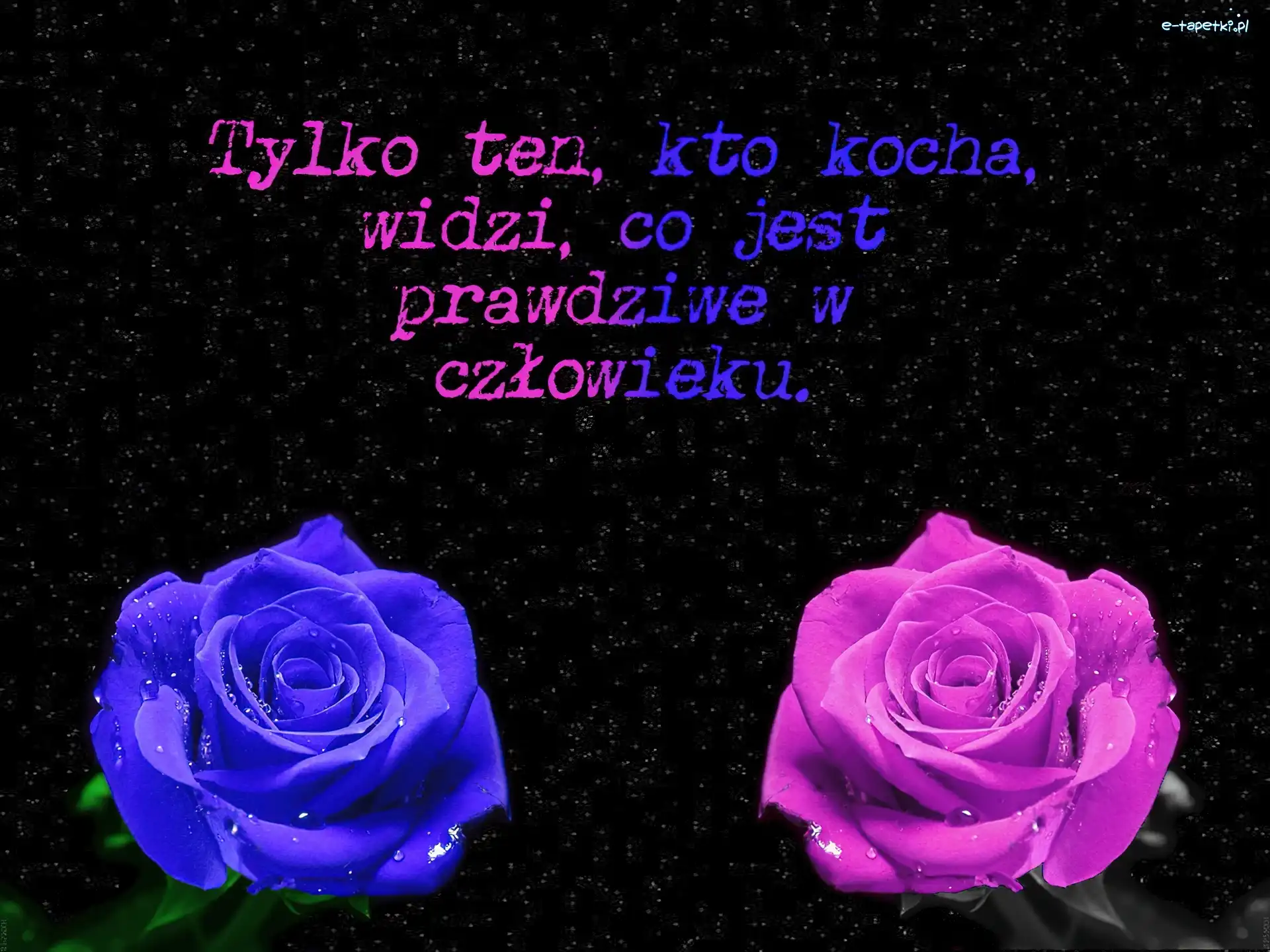 Dwie, Róże, Kolorowe, Miłosne, Przesłanie